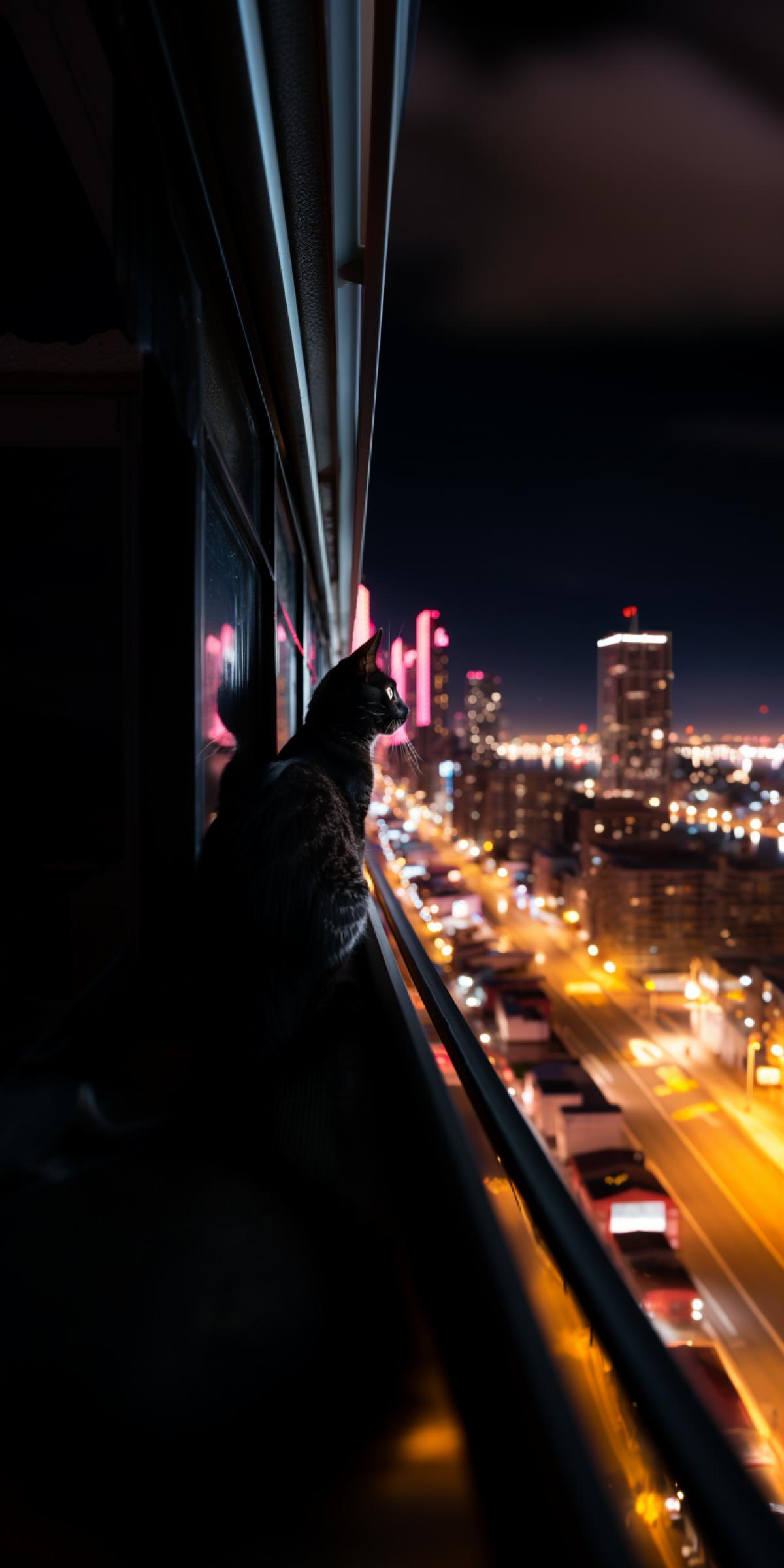 a dark cat silhouette sits on a skyscraper window and looks out at the metropolis, Back angle, professional photography, neon light, hyper details, 8k