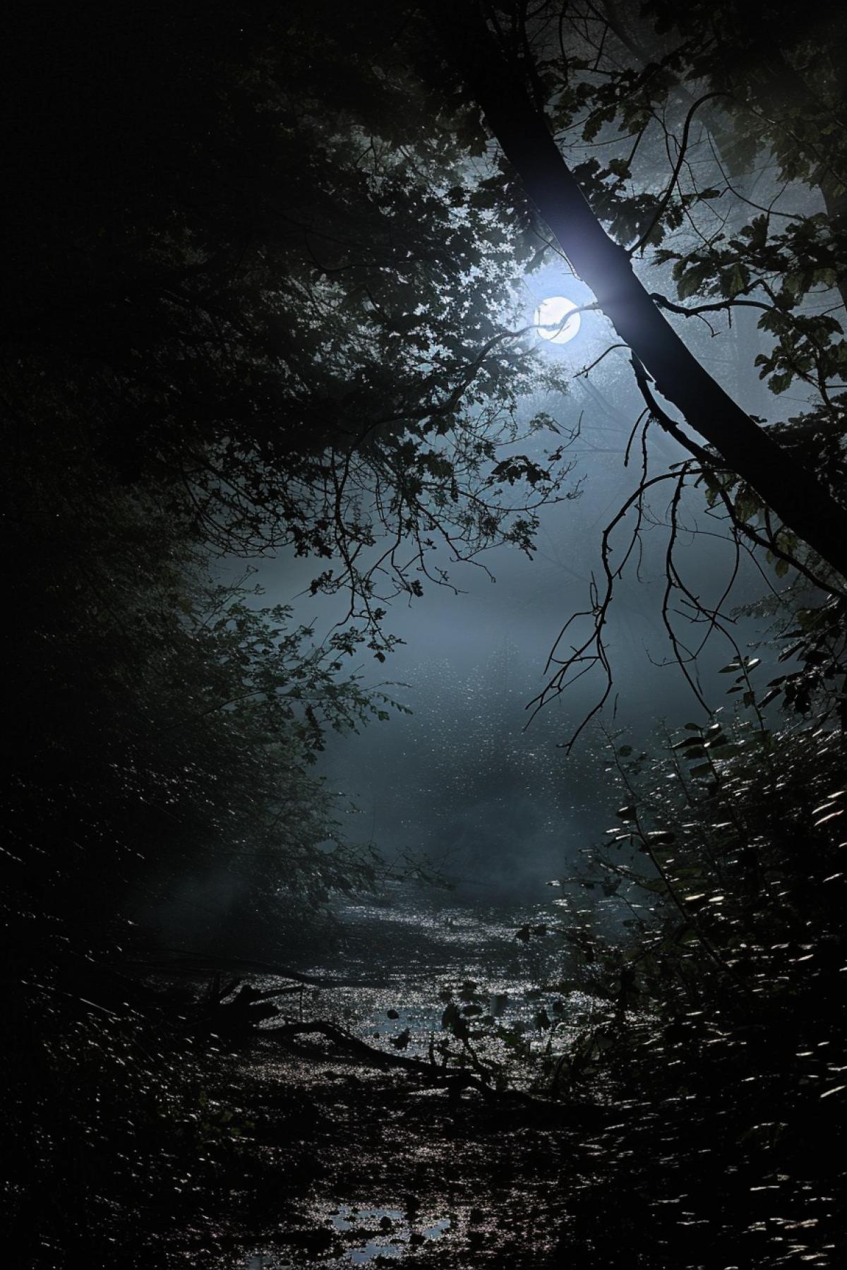 Moonlight, monster in the forest