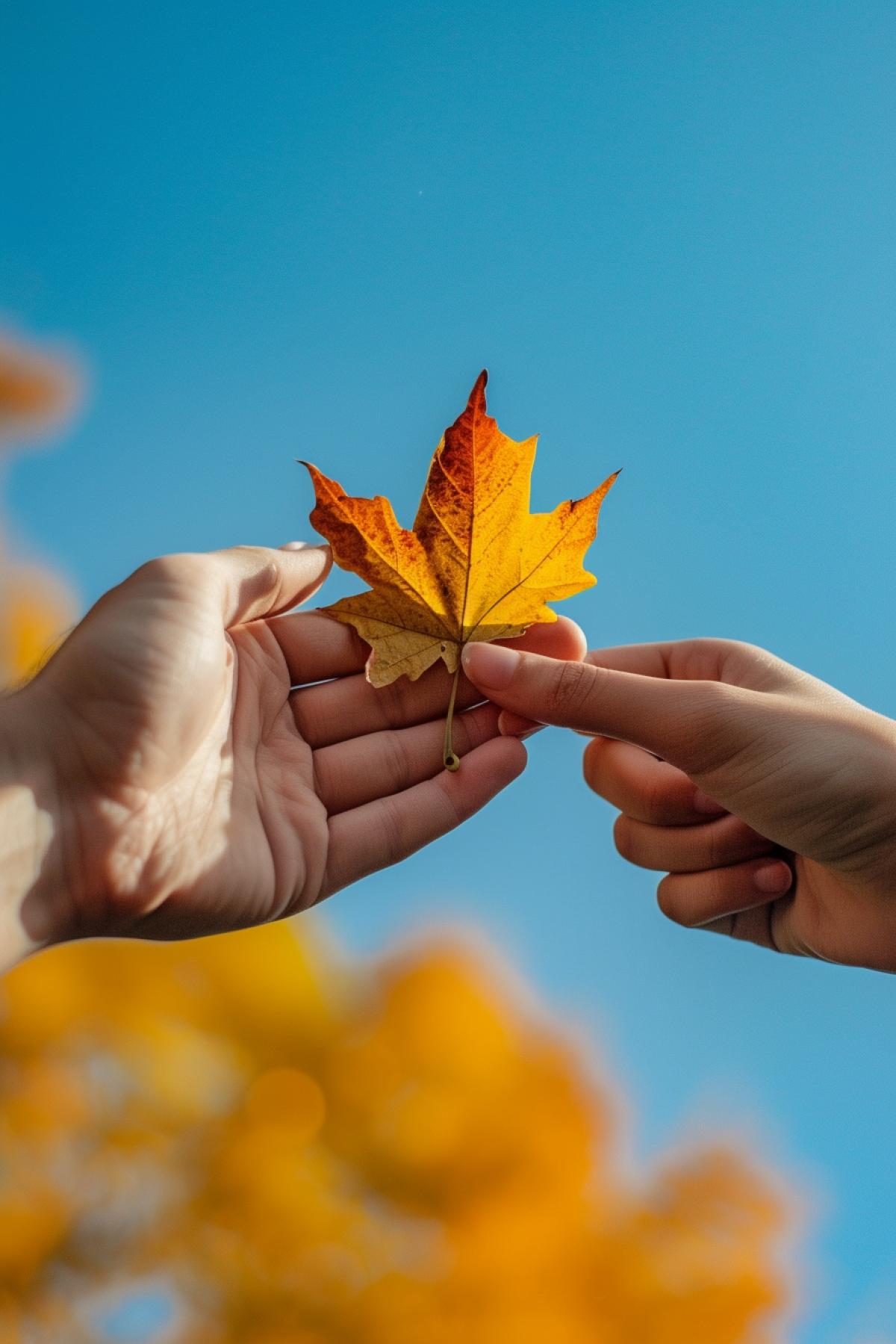 beautiful couples first date and first tender desireful touch of their hands under blue skies of beautiful Indian summer leaffall