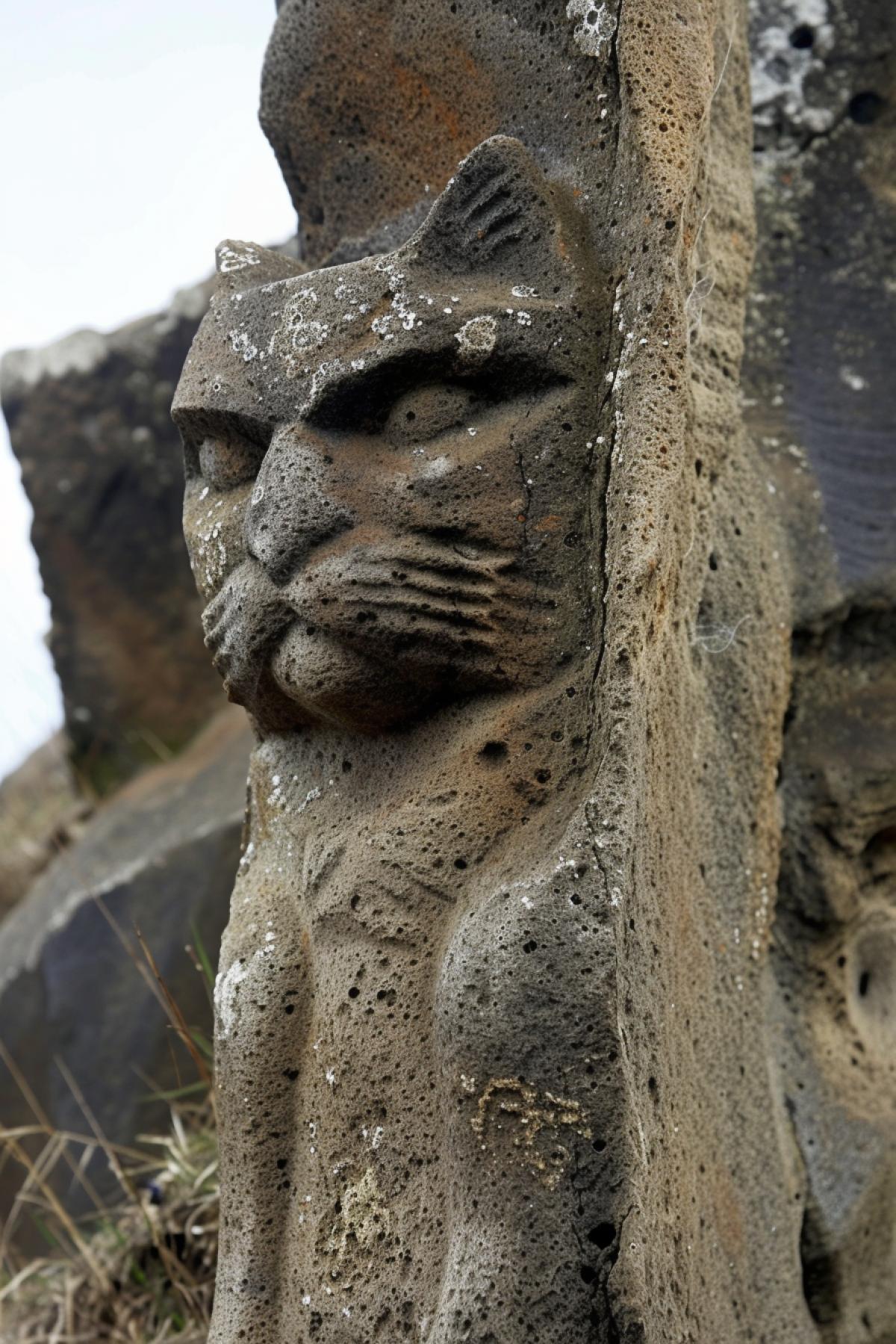 Rock cats in the Easter island