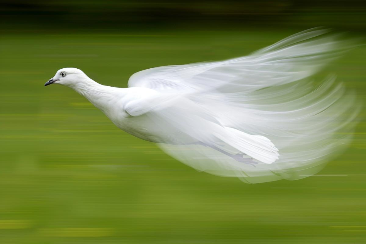 The fastest evil ghost, speed!