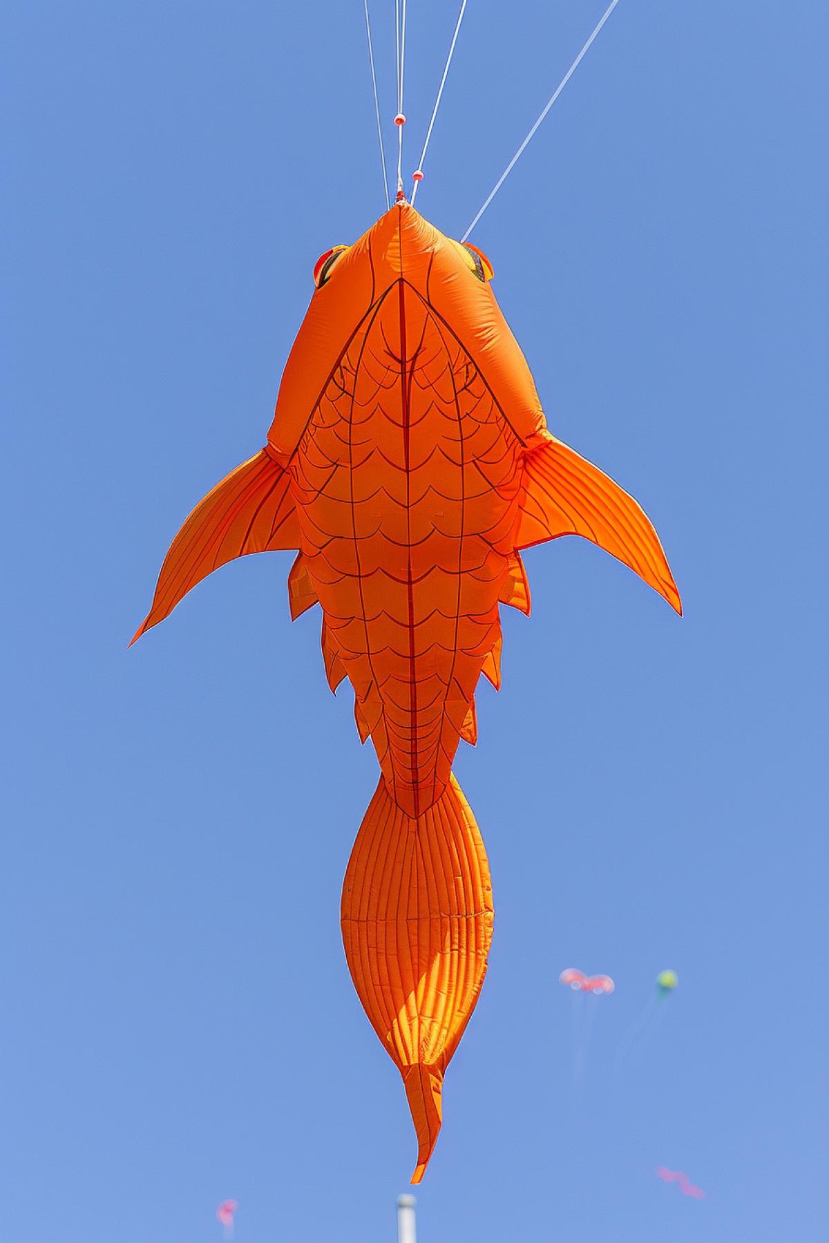 Bright beautiful kite in the blue sky, close-up, kite festival, professional photography
