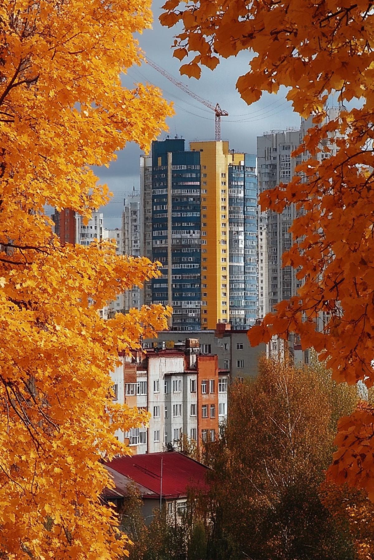 The city in autumn, modern city buildings surrounded by alleys, where trees are in autumn decoration, the sky background is a circular star trajectory