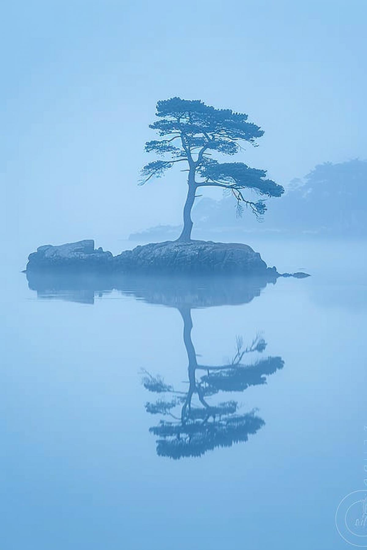 Beautiful swamps of Karelia, fog, mysterious