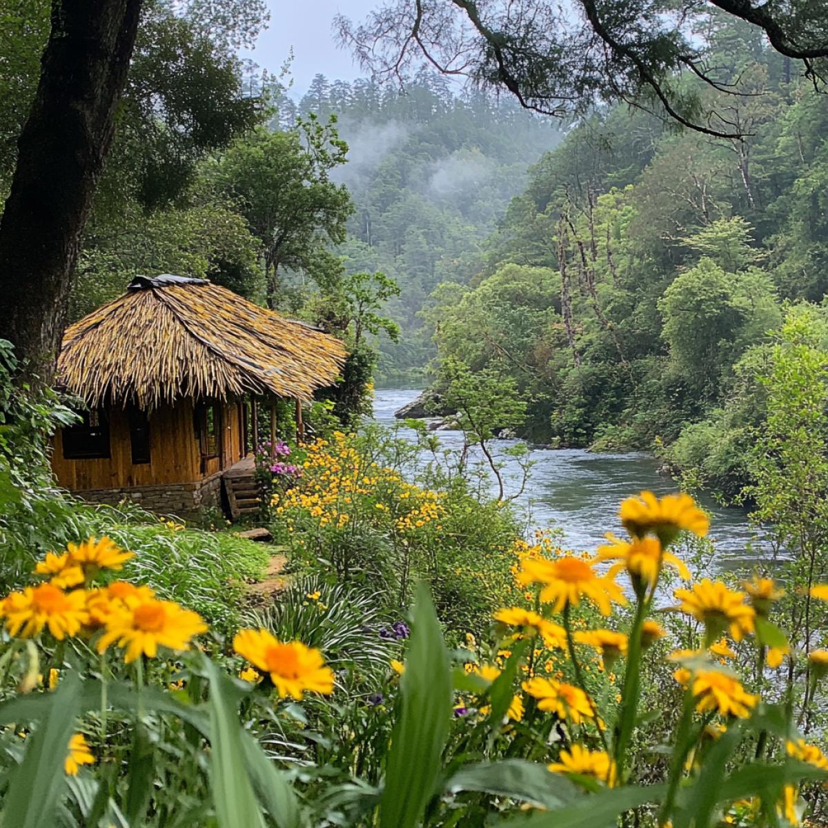 Hut among greenery and flowers, river, forest in the background