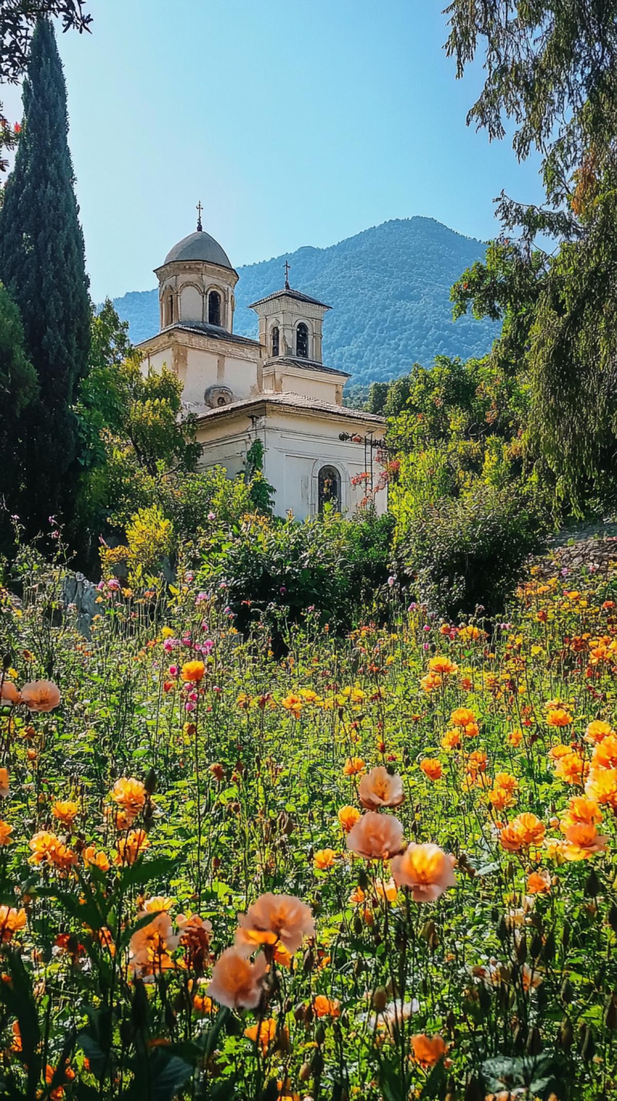 Church-monastery in a mountainous area surrounded by flower thickets and trees