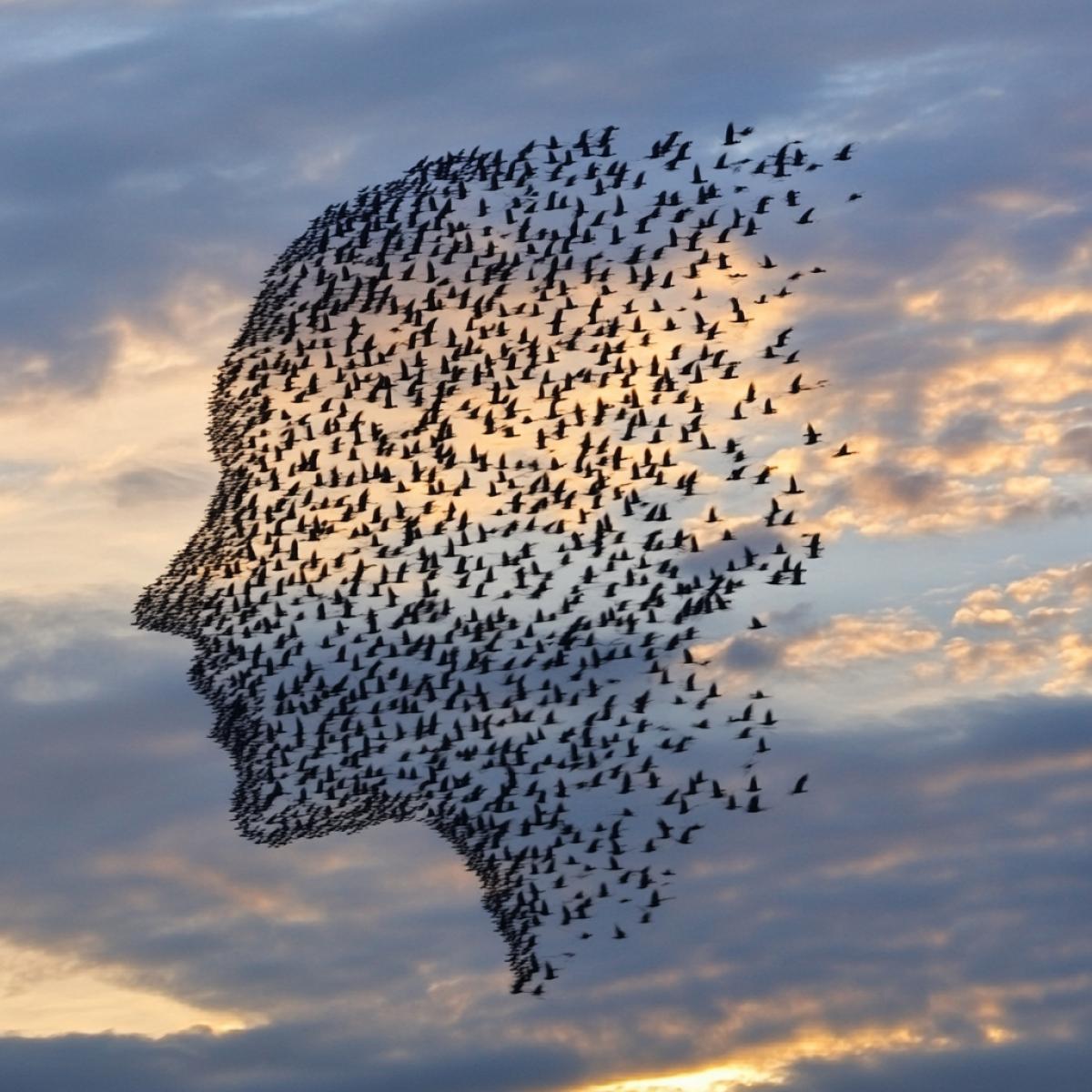 A flock of ducks in the sky created an image of a bird