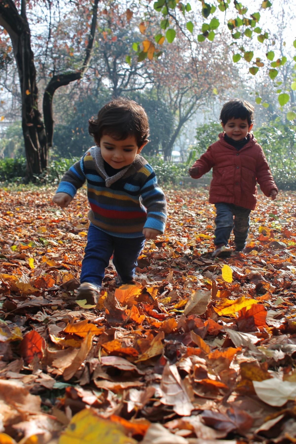 playful cute kids kicking multicoloured falling leaves in the park happily sunny Indian summer day bright colours high contrast