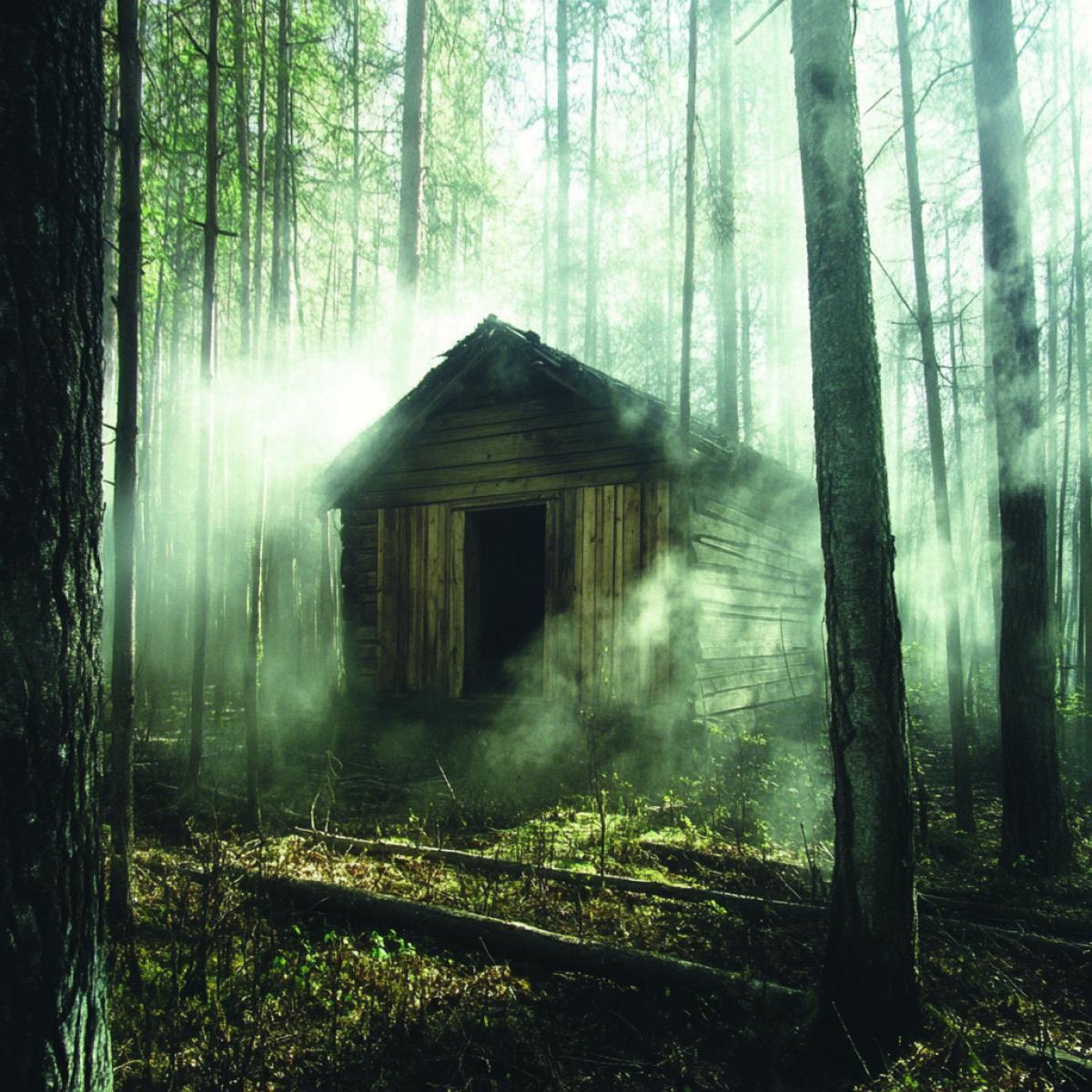 chic mysterious hunters hut deep in the forest