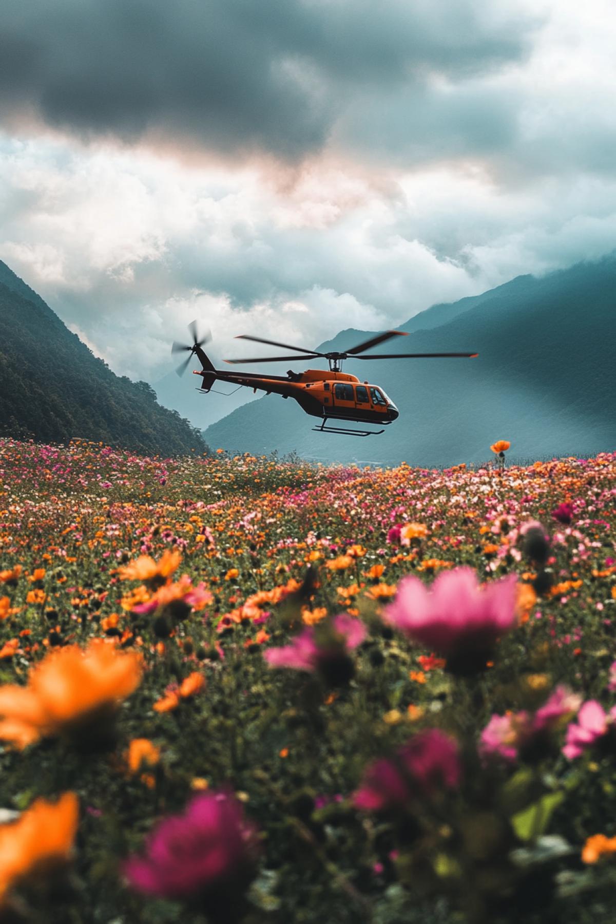 The helicopter lands on a huge, unpleasantly beautiful flower field.