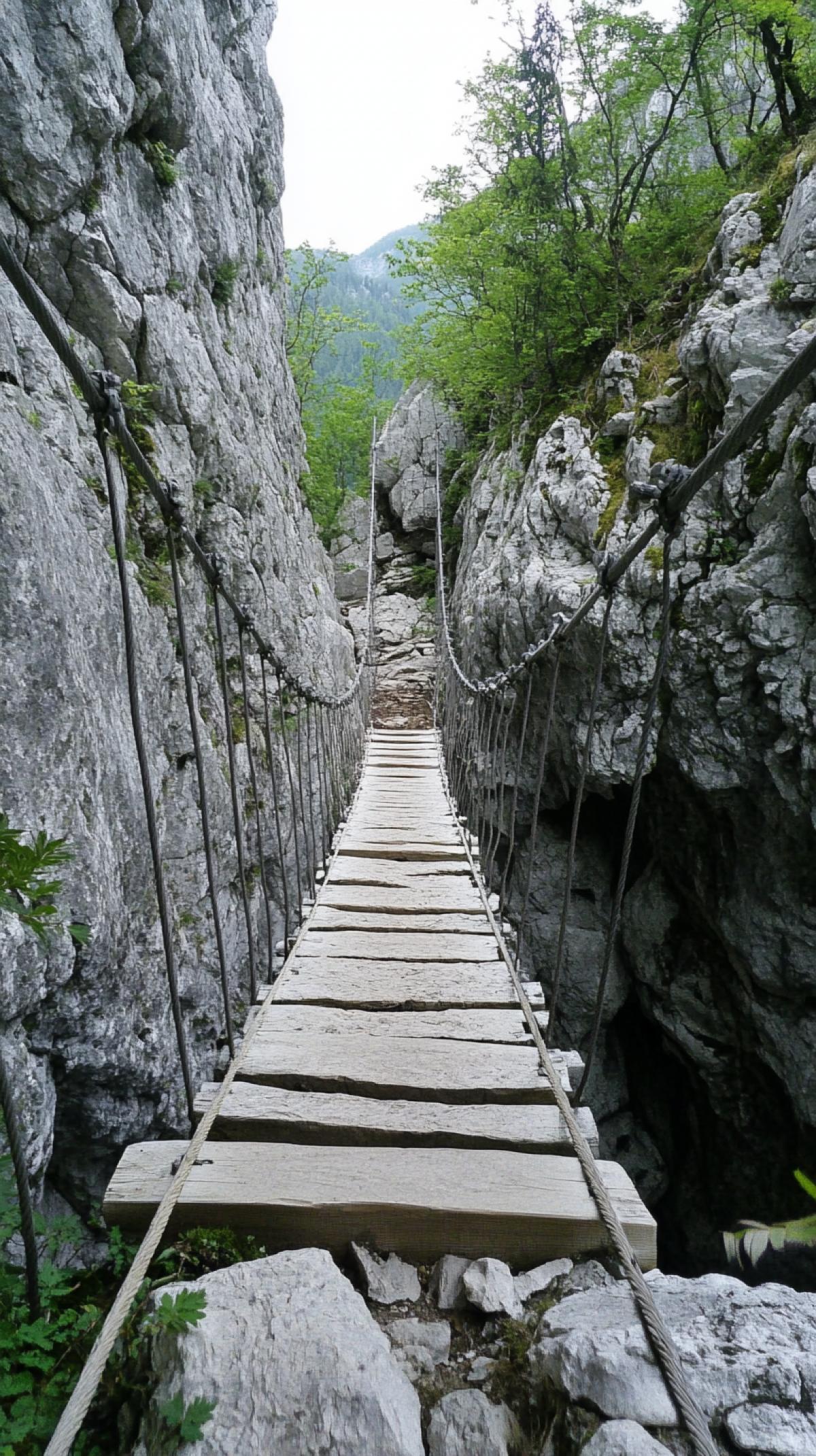 Ropedinked bridge over the abyss