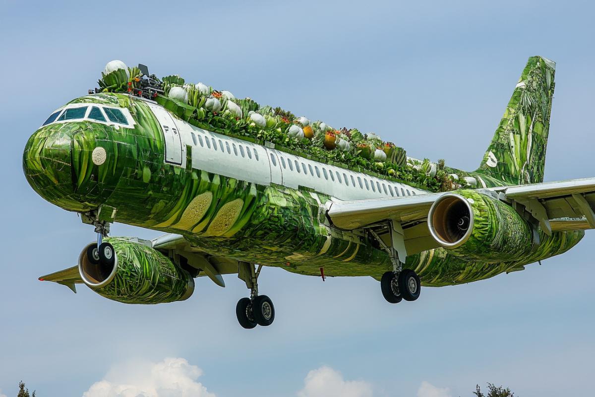 Vegetable aircraft
