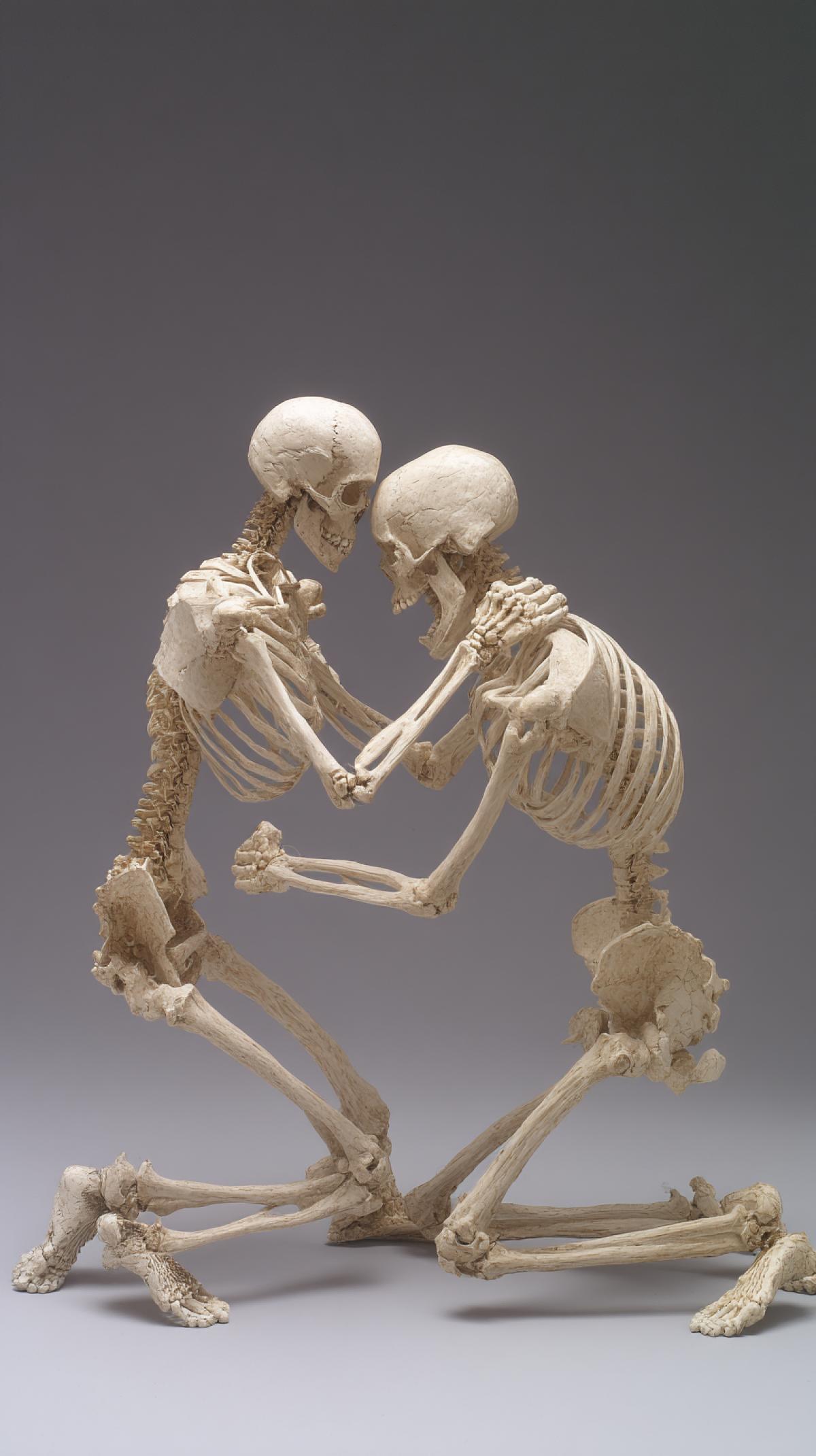Two human skeletons fighting each other, anatomical realism, full . The scene depicts two skeletal figures engaged in a fierce battle, with each bone and muscle structure carefully represented to capture the intricate details of the human form. The work demonstrates a high level of anatomical precision, allowing viewers to appreciate the complexity of the human skeletal and muscular system.