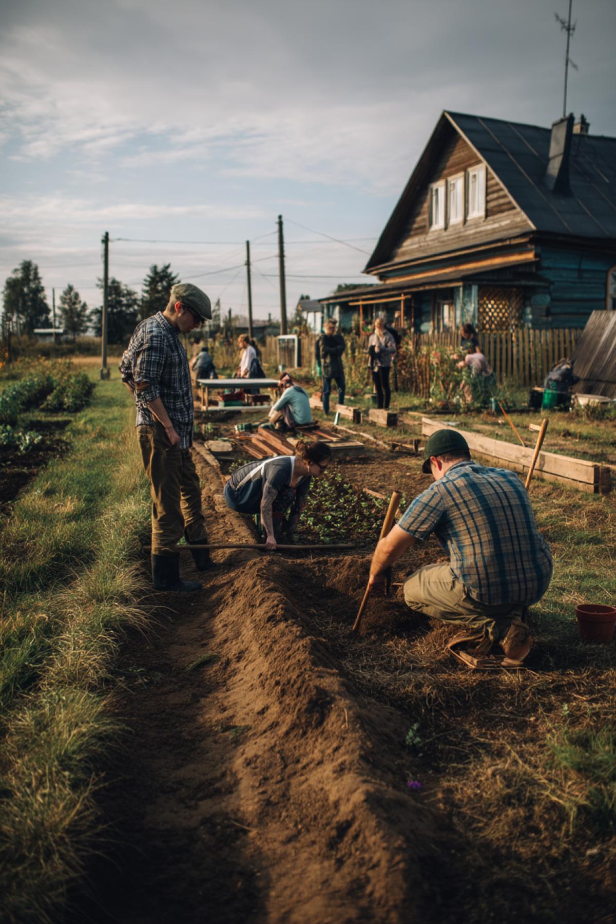 The best rest is productive work. People relax at their dacha plots. They dig garden beds, plant seedlings, water the vegetable garden, and grill shashlik.