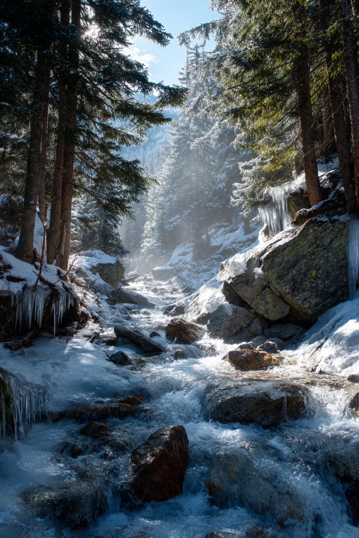 alpine forest with icy stream rushing over stones, sunlight refracting through icicles and fir branches, high mountain atmosphere, untouched purity