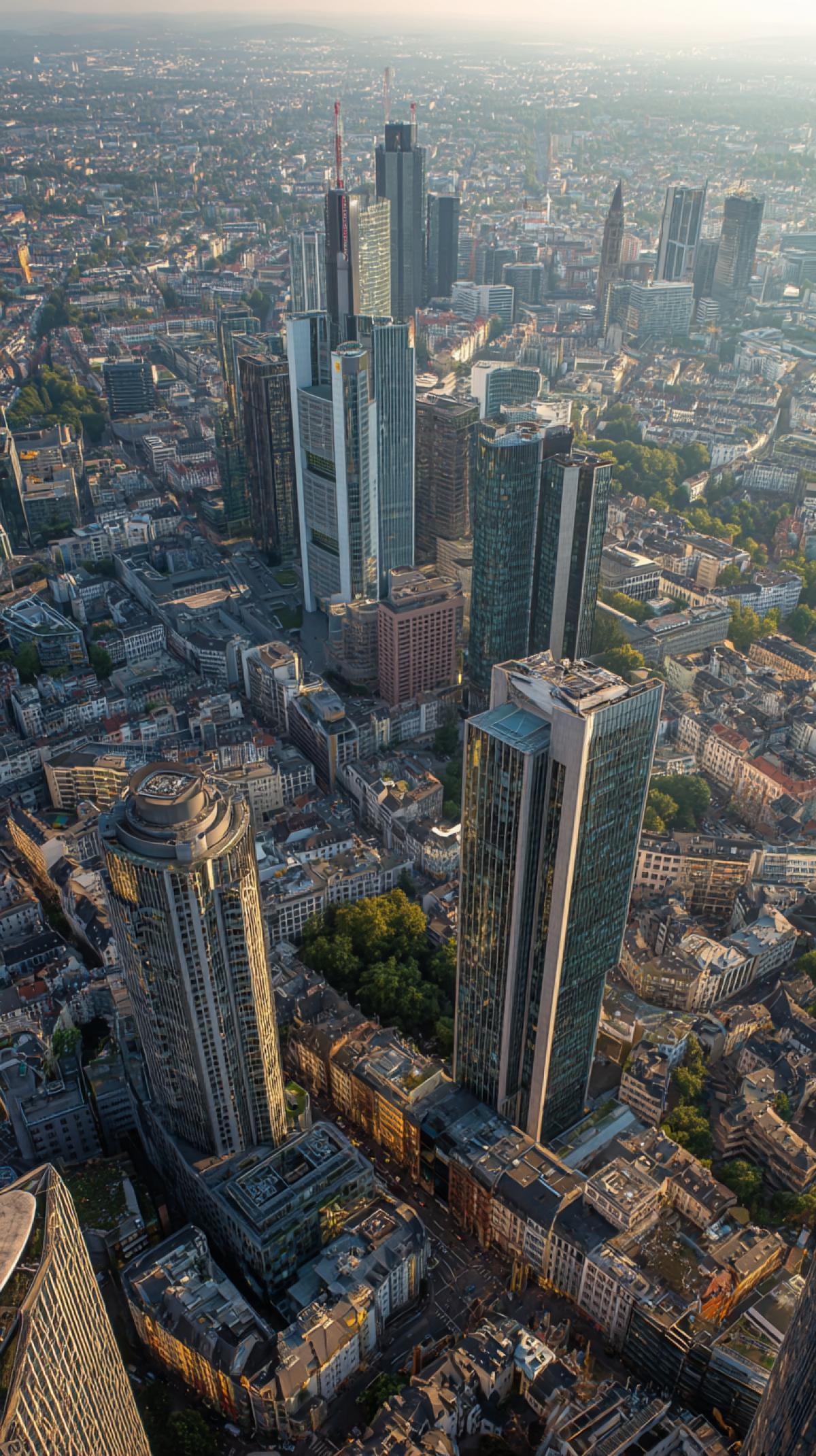 Where the whole city is visible from. The view from the skyscraper is bright juicy