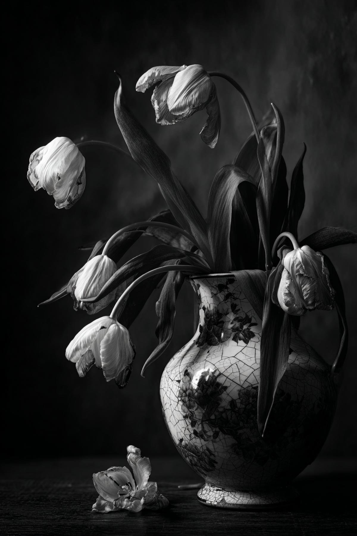A dramatic dark-and-white com4k of wilting tulips in a cracked antique porcelain vase, moody Dutch still life lighting with deep shadows, textured film grain, high contrast fine art photography