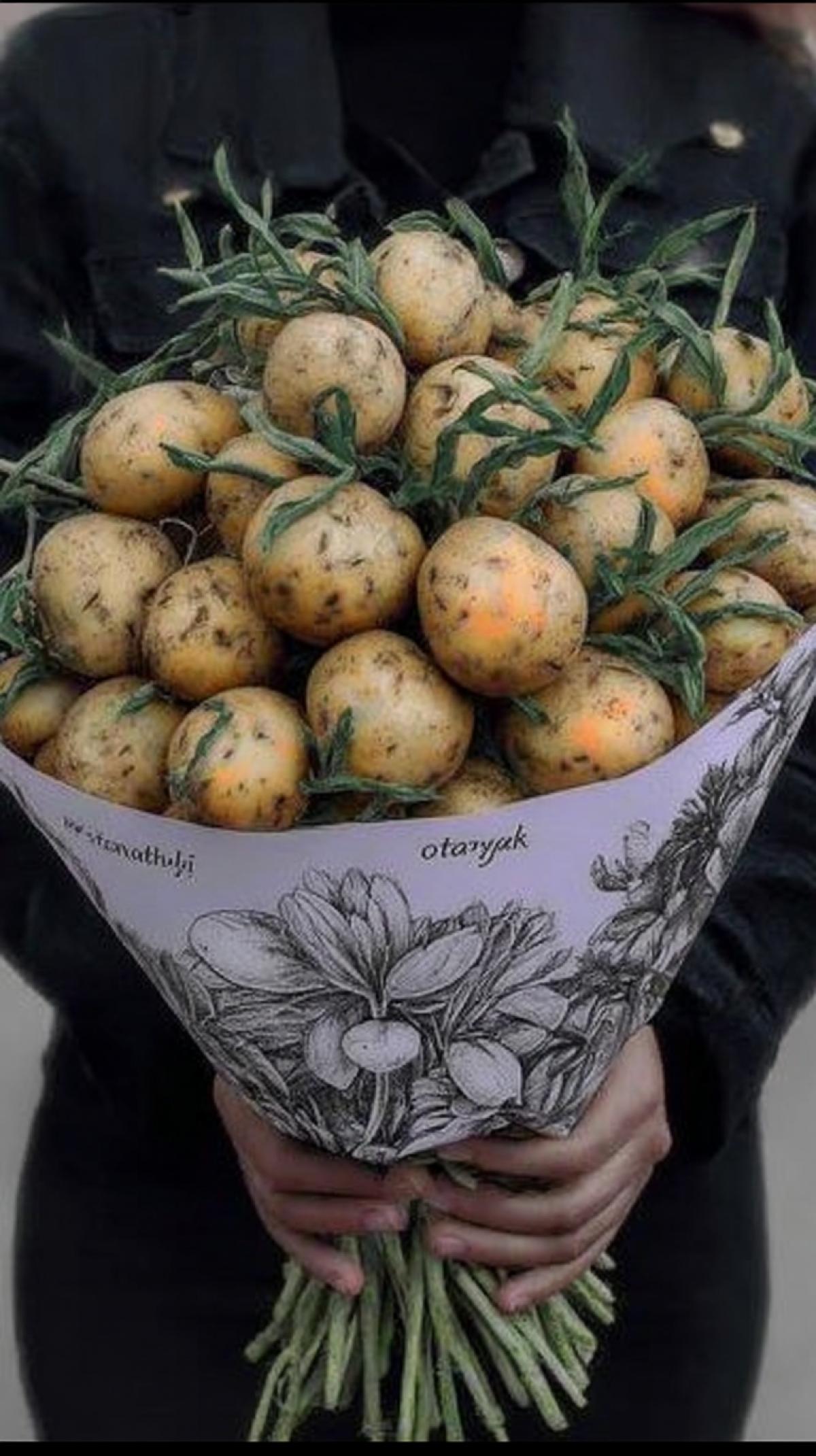 a bouquet of potatoes in a mans hands, super detailed, an inscription with the text \" ot batki \"
