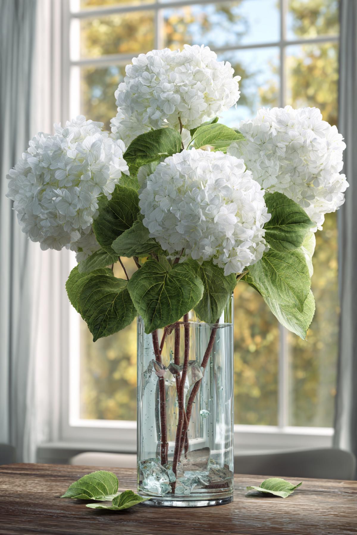Fresh white hydrangeas with lush green leaves in a tall, clear glass vase filled with crystal-clear water. The arrangement is placed on a wooden table by a window, with soft natural light highlighting the delicate flower clusters. The transparency of the vase and water adds a refreshing purity to the com4k. 8K hyper-realistic detail, peaceful and timeless aesthetic.