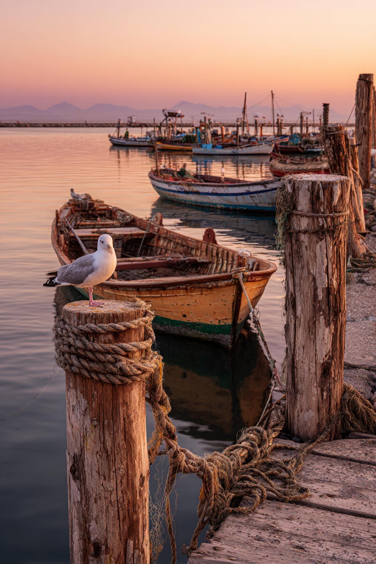 A warm evening on the small Mediterranean coast: a dozen wooden boats with tattered nets sway on water, painted in a sunset in gold and pink tones. In the foreground is an old pier with faded ropes, a seagull on a column. Filmed on Canon EOS R5 with a polarization filter, the depth of sharpness emphasizes glare on the water. Style: Warm Photorealism with a Loan of Nostalgia