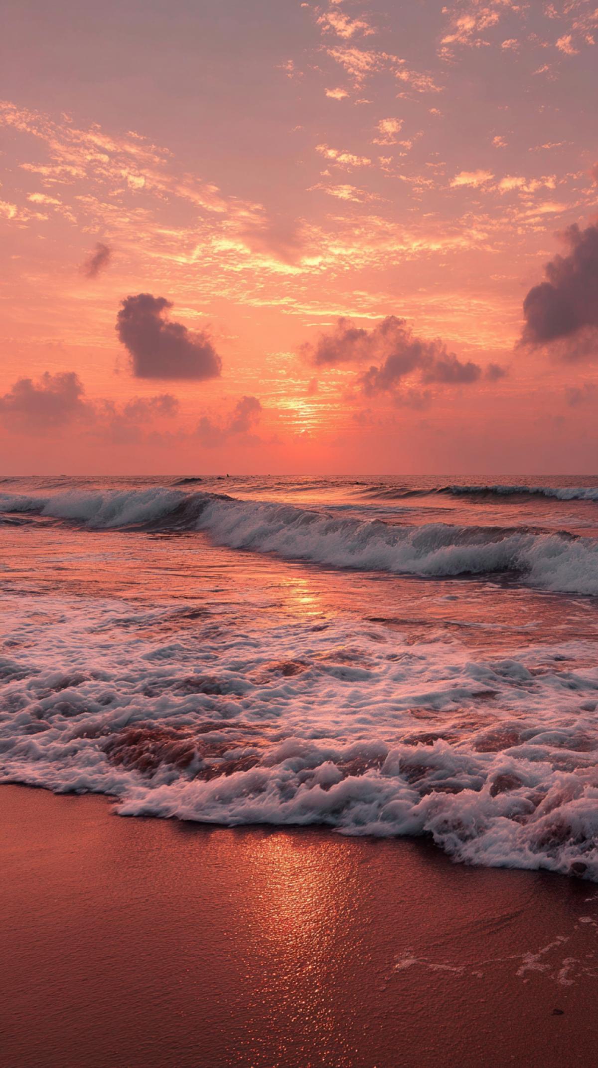 The atmosphere of the seashore. Imagine a moment on the seashore: a light breeze plays with your hair, the air is filled with the salty scent of the waves, and the warm rays of the setting sun paint the sky in delicate shades of pink and orange. The challenge is to capture the environment around you in an image, a photo from the nat geo wild magazine, high resolution, and high quality