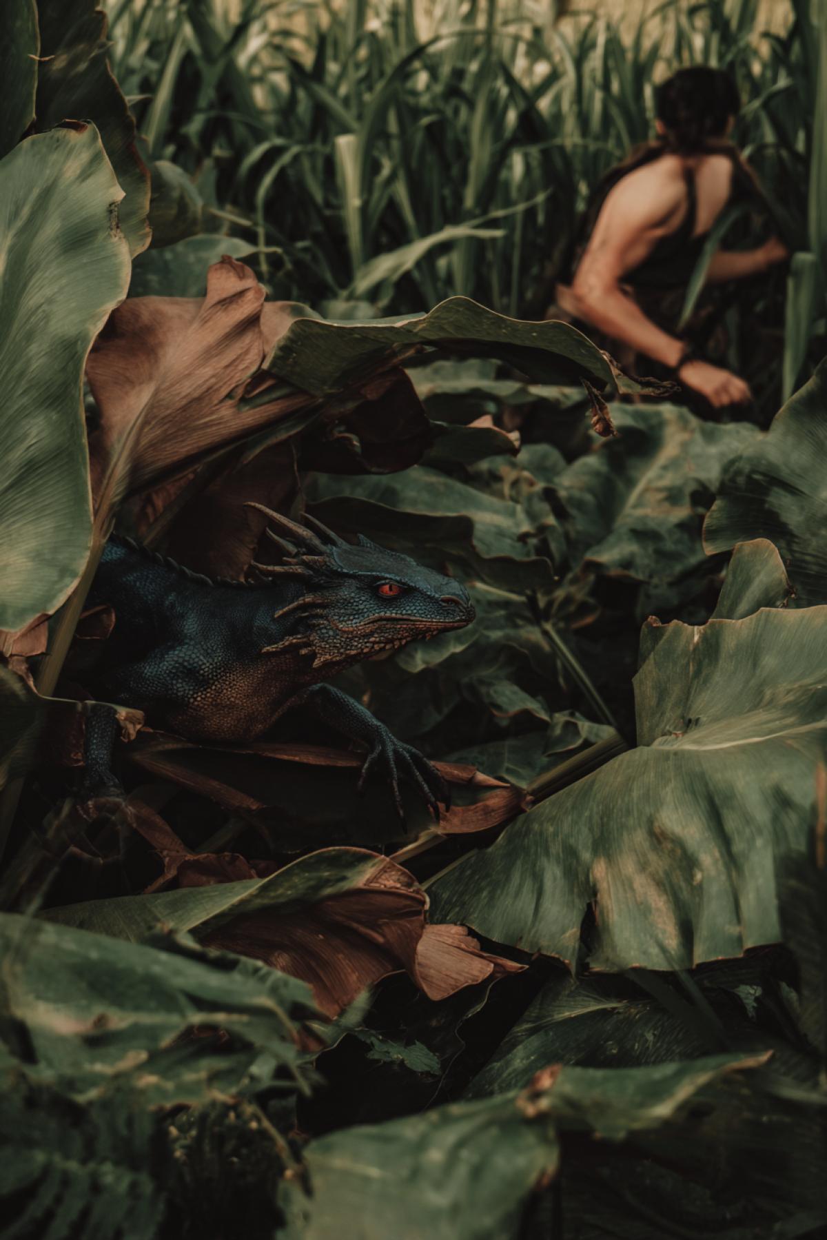 The image on which 1 person of medium height goes through the jungle. A evil dragon is visible through the leaves