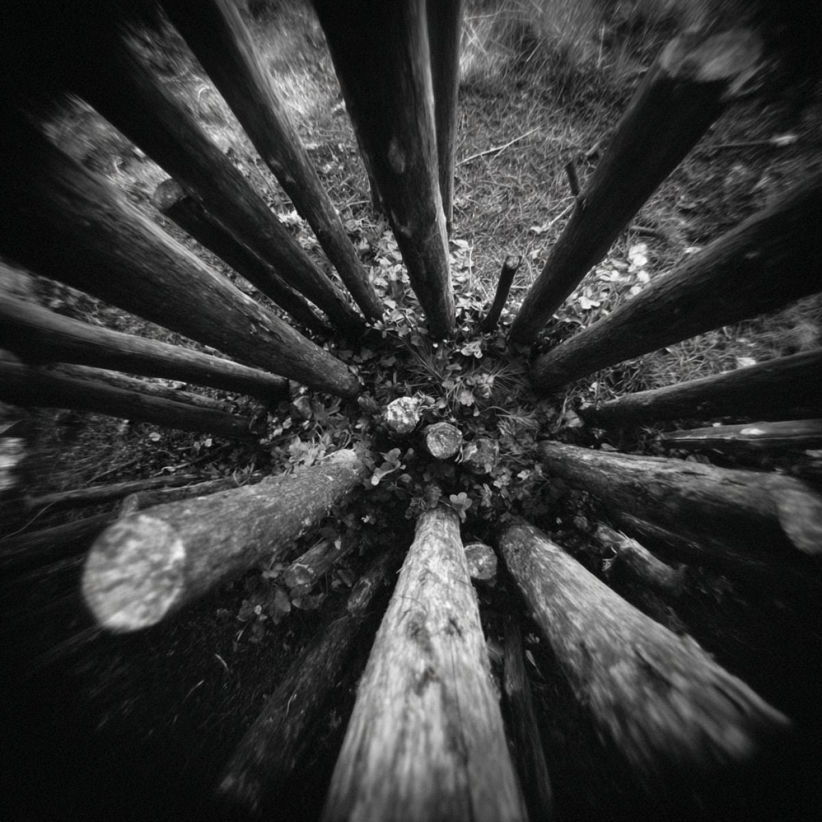 View of the crown of wood from above.  Filmed with a wideangle lens of 8mm