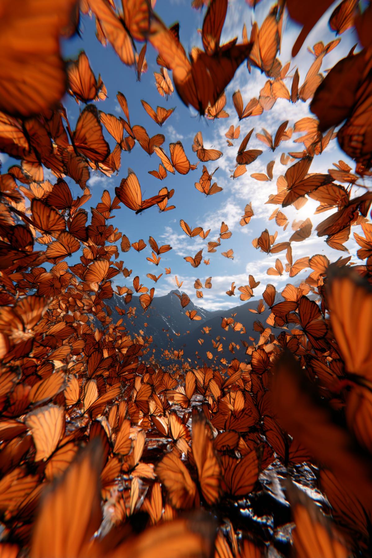 First-person perspective inside a monarch butterfly swarm: thousands of orange wings create a living kaleidoscope. Sunlight fractures through delicate membranes, projecting fractal patterns on the camera lens. Distant mountains warp through compound eye distortion. 16K immersive view, Microscopic IMAX style, chromatic aberration for dreamlike effect