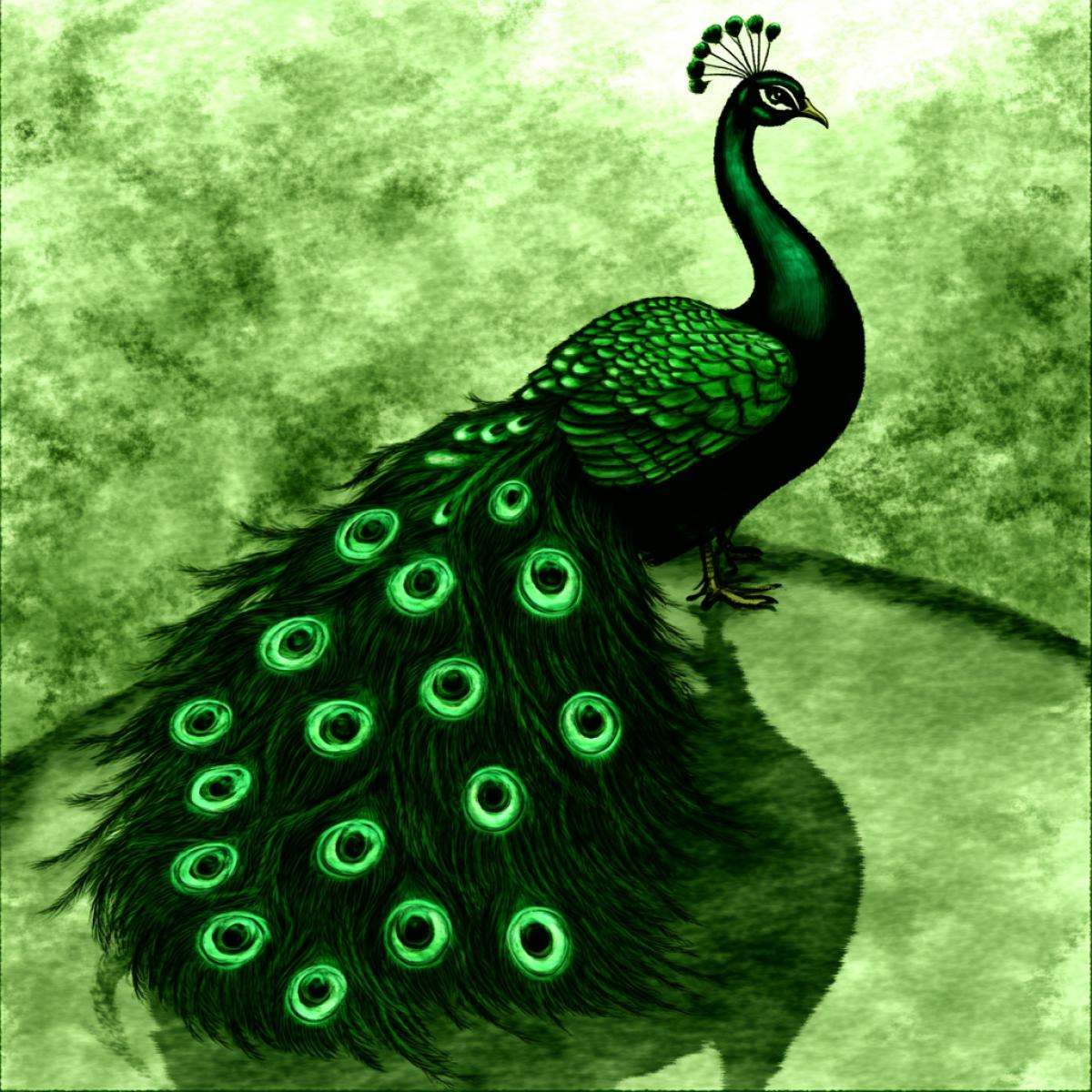 A graceful peacock performs a dance on a mirror-like lake surface, reflecting its tail as a galaxy under moonlight. Feathers glow with neon and turquoise hues, creating a cybernetic effect. The camera moves sideways, capturing the dance and water reflection. The setting is a calm night with a shimmering lake, emphasizing the abstract style and unusual angle. The atmosphere is filled with soft radiance.
