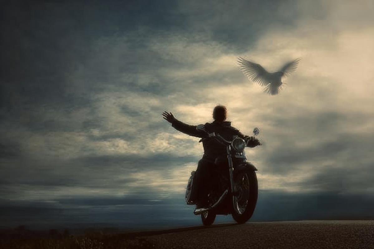 I am free like a bird in heaven,. I am free, I forgot what fear means.. Im free with a wild wind on an equal basis. I am free in reality, not in a dream!