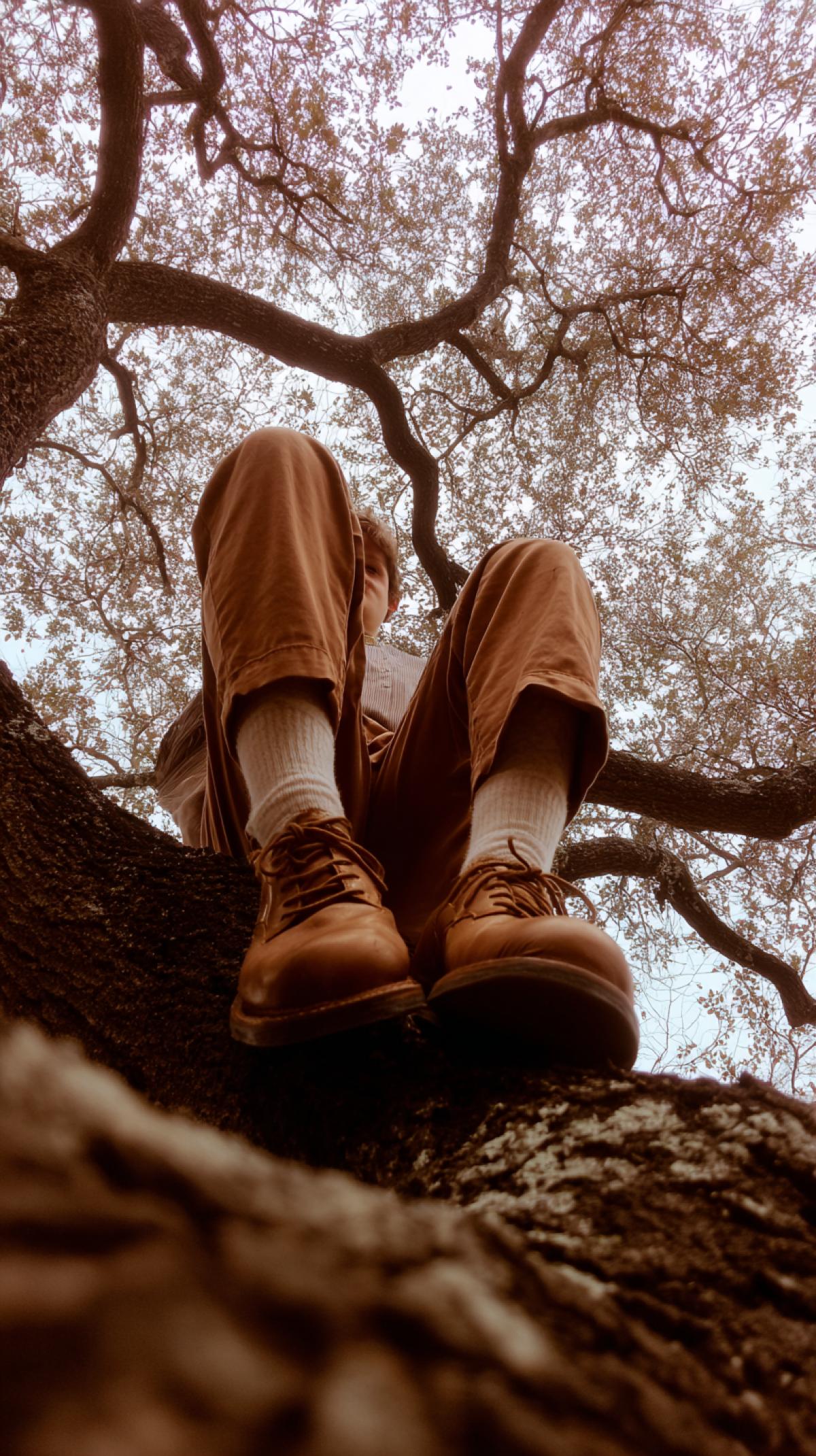 The young man in his late adolescence sits on a branch of oak. He wears brown pants and shoes with socks. The photo was taken from below using the iPhone camera and posted on Instagram Stories, at noon, in the RAW style.