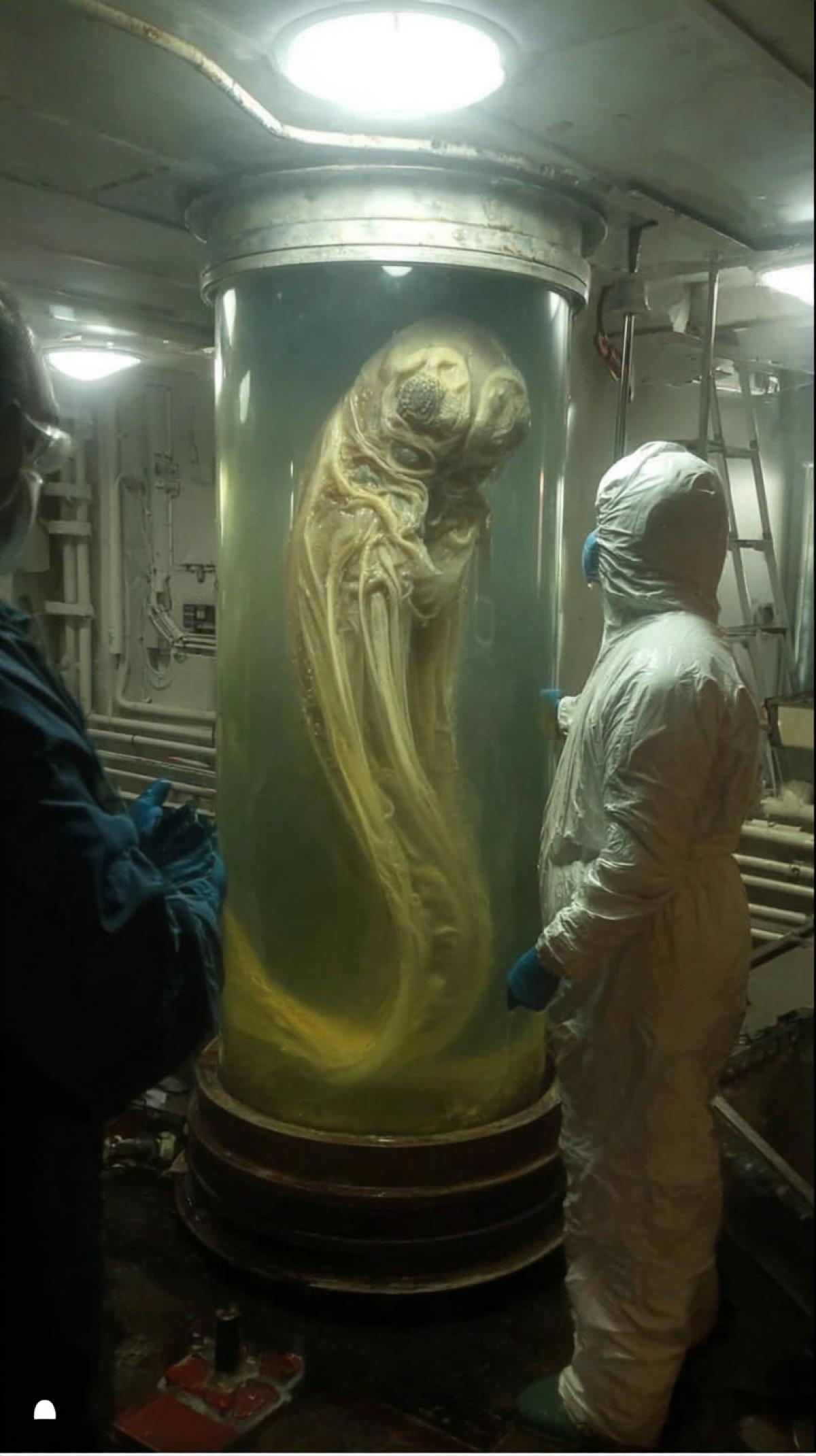 A photograph of a big alien creature inside a glass cylinder, a creature with a transparent , demonstrating the view of the in a laboratory installation on board the cargo ship. Scientists in Hazmat costumes are considering that studying the creature, and the image was posted in Snapchat Stories in February 2019.