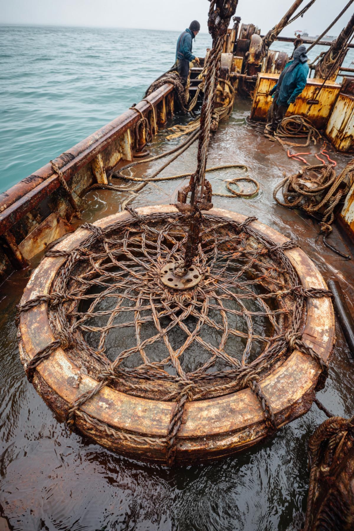 The fishermen on the ship caught an old rusty sea mine into the network. They are horrified.