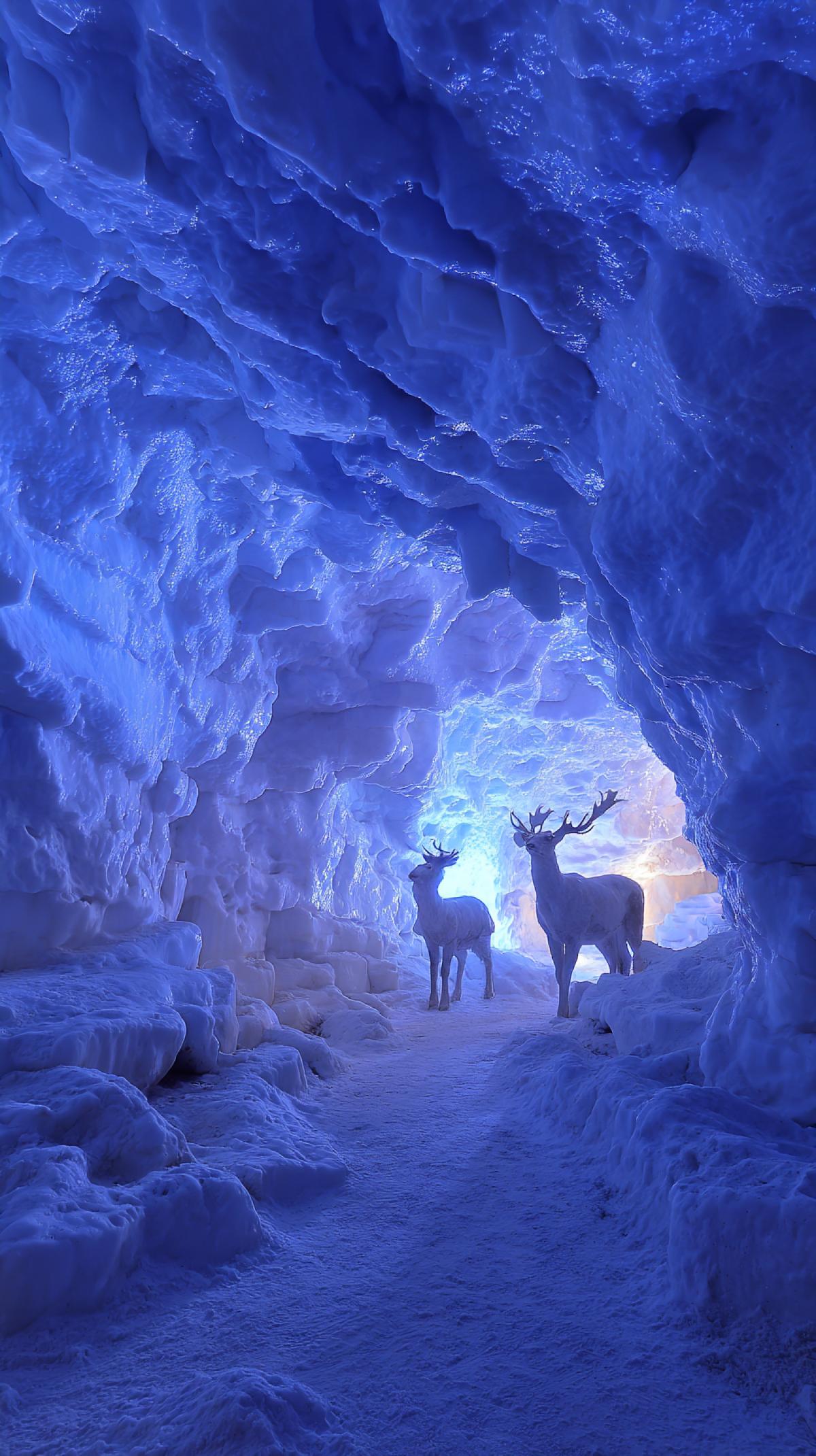 The interior of the ice cave with animals, for example, deer, dragon, dinosaur. The scale, ice texture and the game of light are rays, walls, crystalline formations, frozen stalactites/stalagmites, reflection in reservoirs inside the cave, traces of humans and animals. All in neon light.