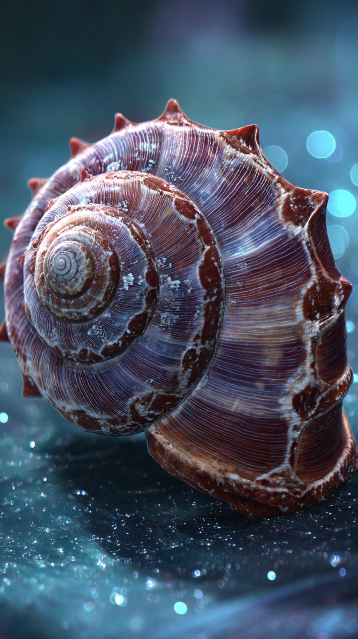 Imagine a shell that does not happen in nature. Generate the image of a shell on a snail or another animal, differing in shape, for example round, material, color, for example, in the form of any fabric or painting.