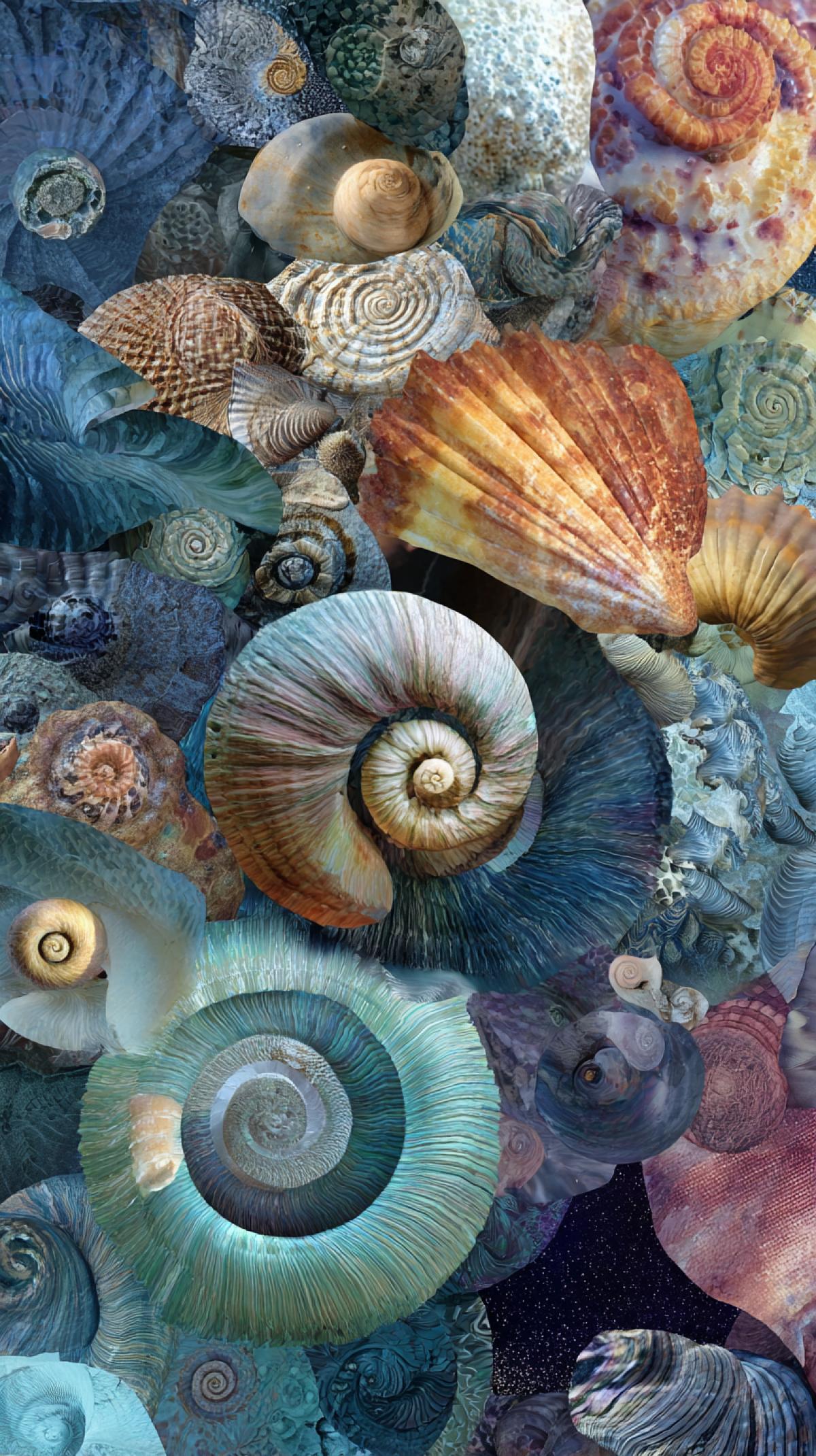 Imagine a shell that does not happen in nature. Generate a shell collage that differs in shape, for example round, material, color, for example, in the form of any fabric or painting.