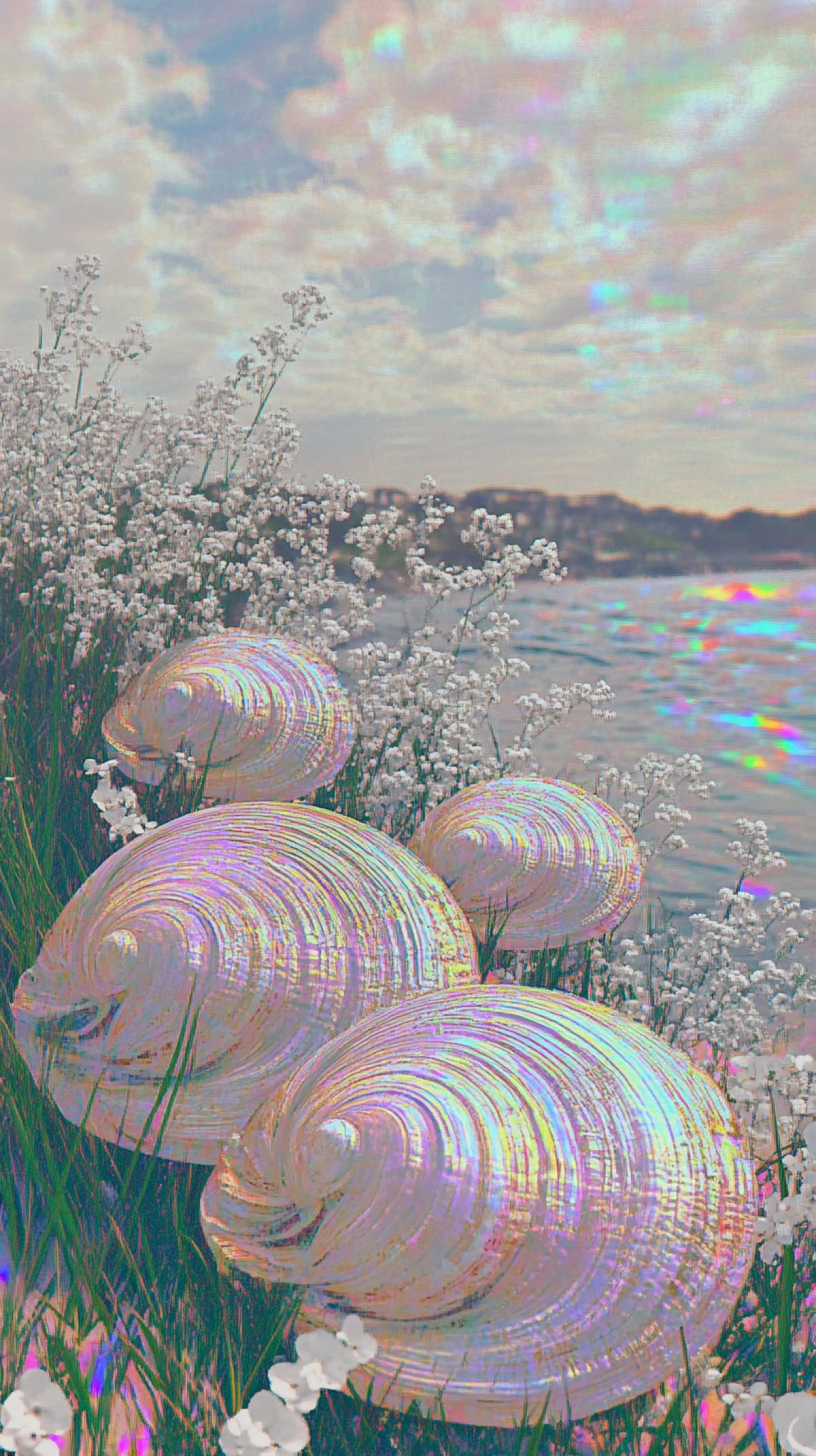 Close-up On the seashore five sea shells of different shapes, rapana and mollusks, in mother-of-pearl and sun glare, delicate grass and white coastal flowers. serenity, foam of water, velvet sand between shells from the surf, brilliant hyperrealistic art.