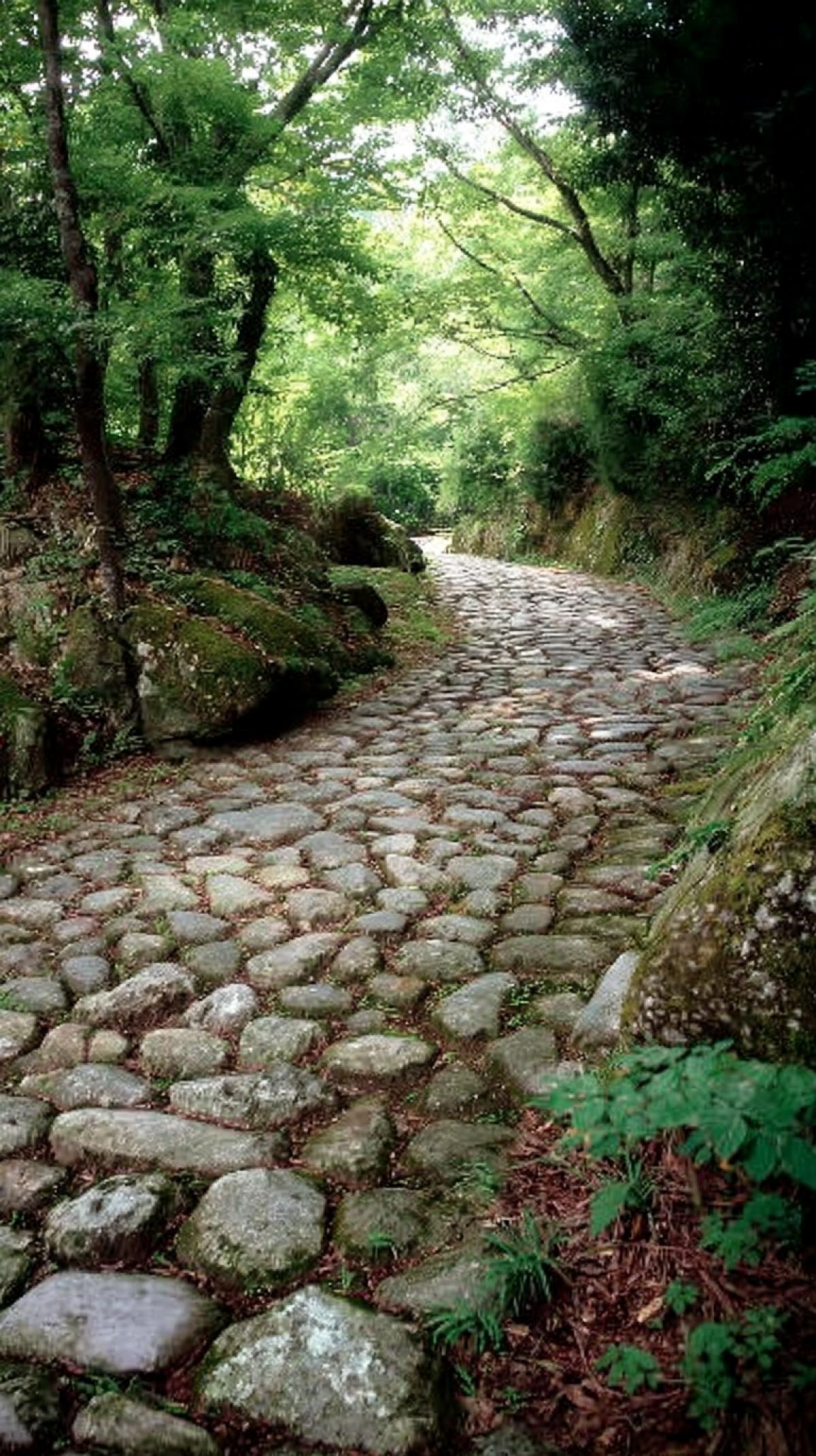 Ancient stone mountain road, dense forest, summer, photos are marked with awards, high resolution, high quality, frame low corner
