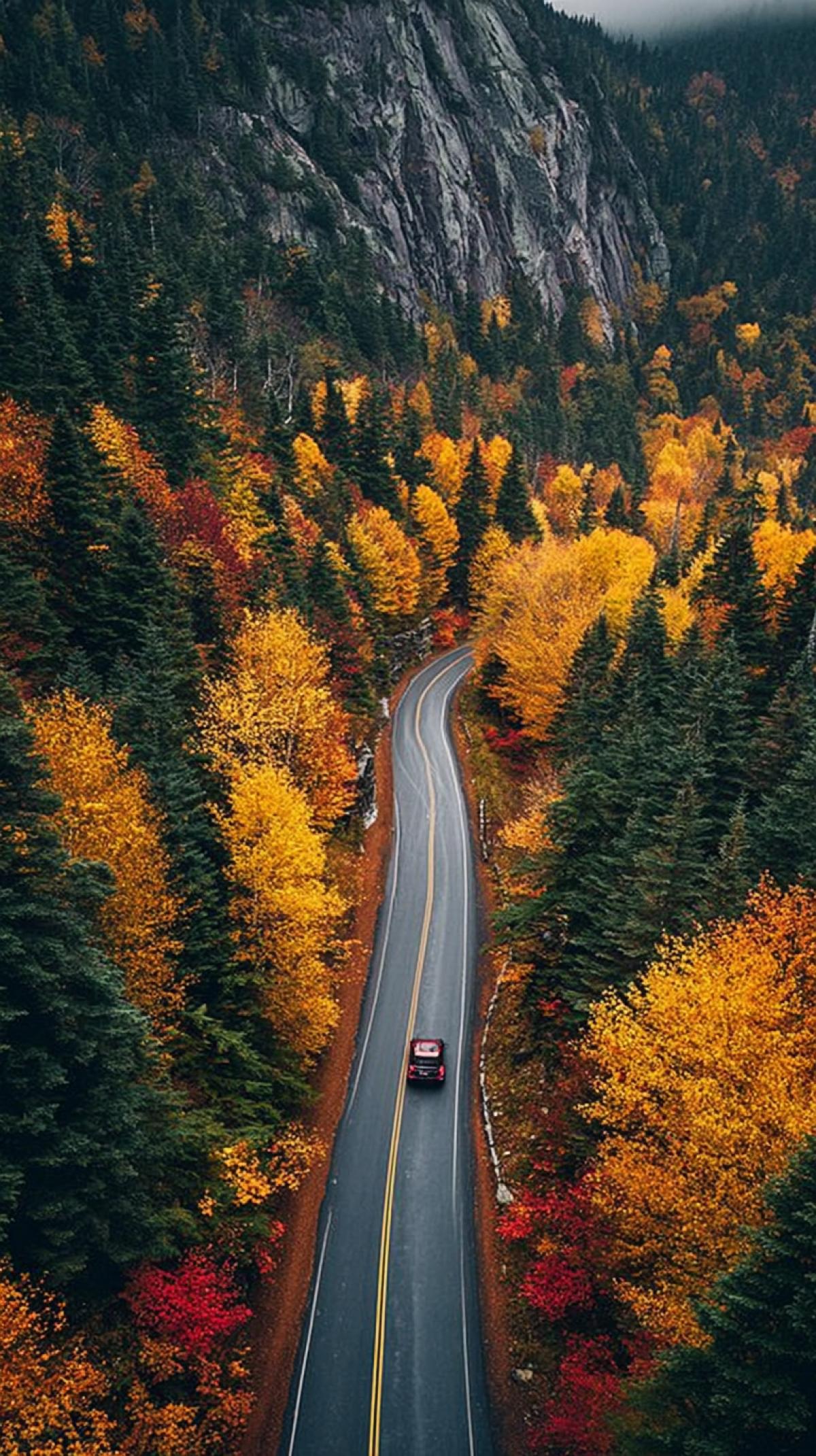 The car travels along a mountain road, a dense forest, autumn, a wet road, photos are marked with awards, high resolution, high quality