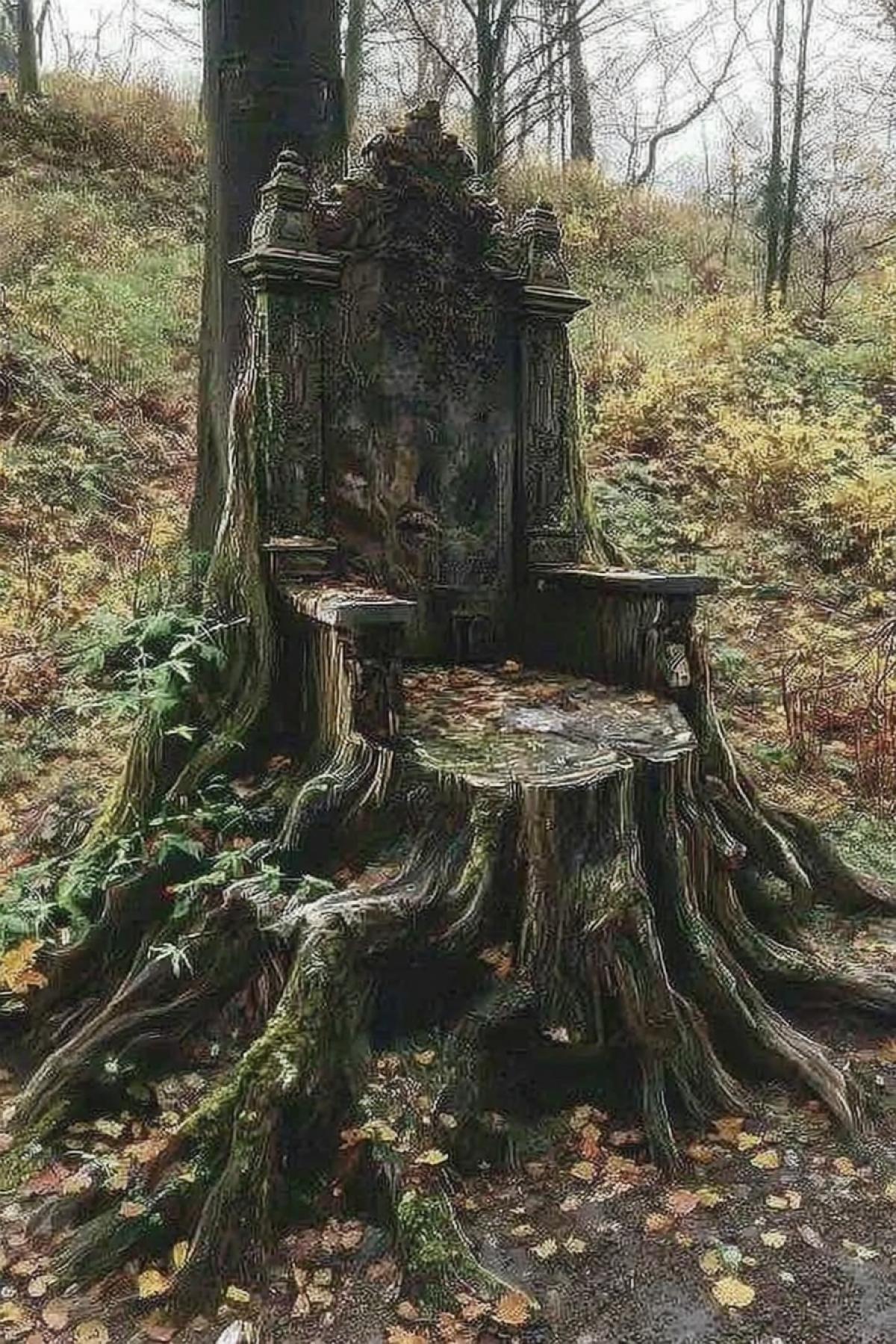 the chair is made of an old tree stump, forest, photo realism