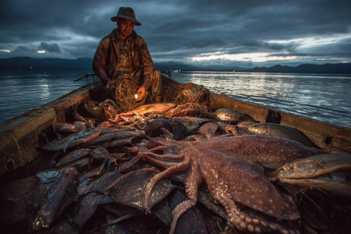 Reporting photo. Fisherman with fishermen and catch. At the bottom of the boat, in addition to the fish, there was an underwater river monster with tentacles, like a squid and a dark shell on their backs. Dramatic contrasting lighting. Impressive picture, spectacular angle
