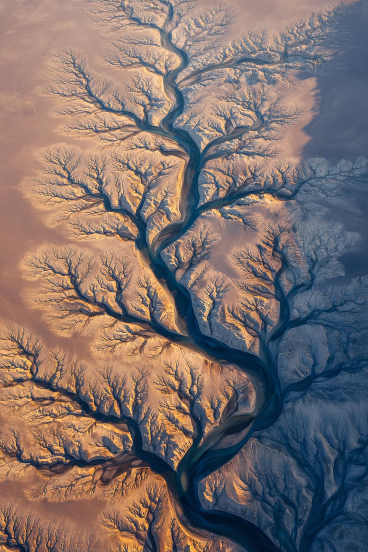 aerial top-down view of fractal river deltas branching through desert sand, the patterns resembling veins or neural networks, golden hour sunlight casting long shadows, high contrast between light sand and dark water, photorealistic, style of National Geographic photography, textures of flowing water and dry sand, earthy tones