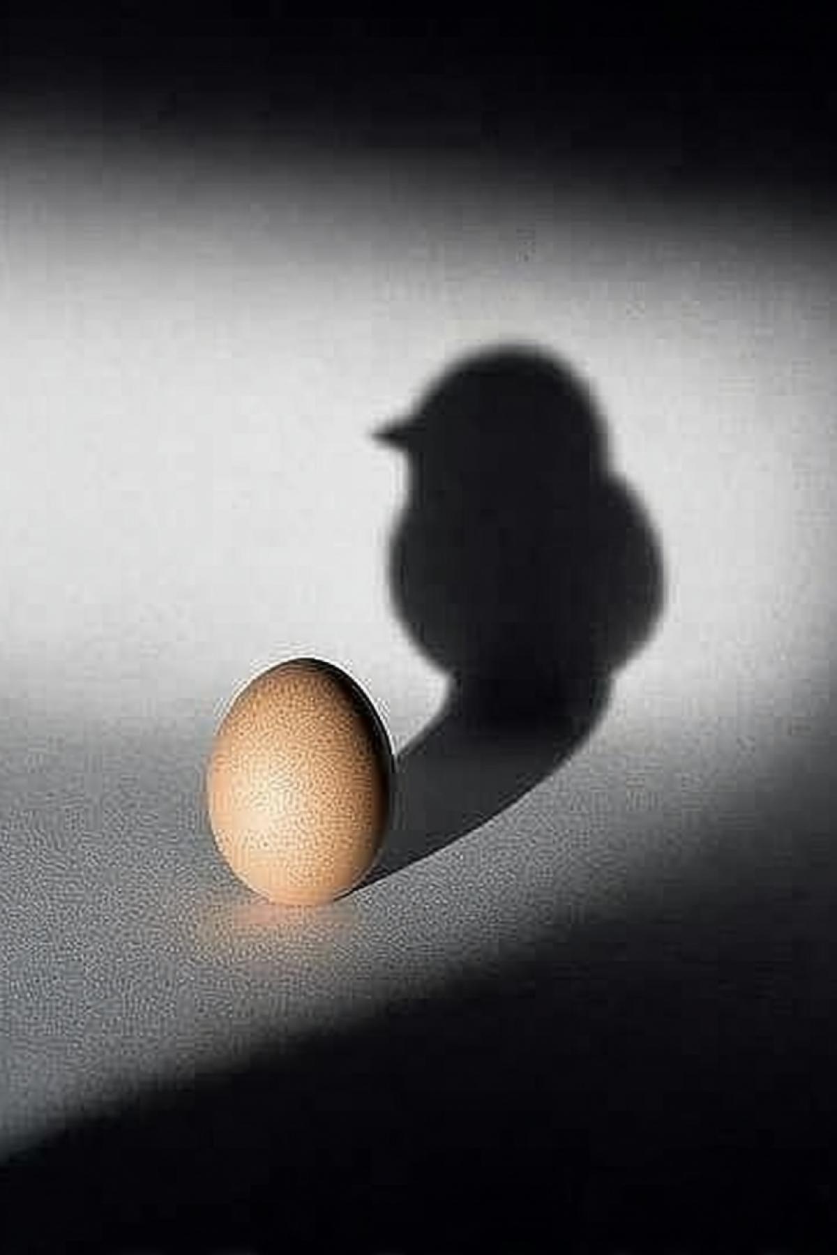 a chicken egg, its shadow falls on the floor in the form of a silhouette of a newborn baby. color photography. The photo was taken full-face, the angle creates a sense of depth and perspective. Minimalism, with a simple background, in the style of Daido Moriyama, using a Leica M6 camera, F/8 aperture and a grainy film effect.