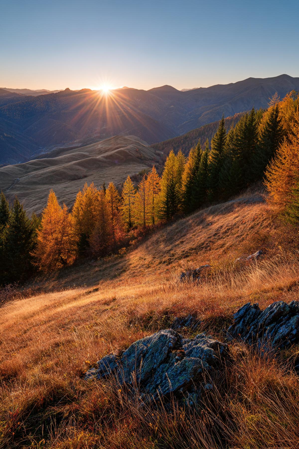 From behind the horizon, the edges of the sun were leaning, the dazzling sheaf of the rays lit up the tops of the trees on the slope above it, and they began to play with all the bright colors of autumn. But the slope under him was still immersed in the dusk. And the music was like a ringing of silver water running on happy stones. Unearthly music. Music fairies. Yes, yes. To his left on the lawn, Fai was played by their ordetailedra. Ordetailedra Fey! Fairies dancing on the lawn! The ordetailedraants sat in a row on a log by the edge and played, and the morning rays of the sun shone on their rainbow wings and on sparkling instruments.