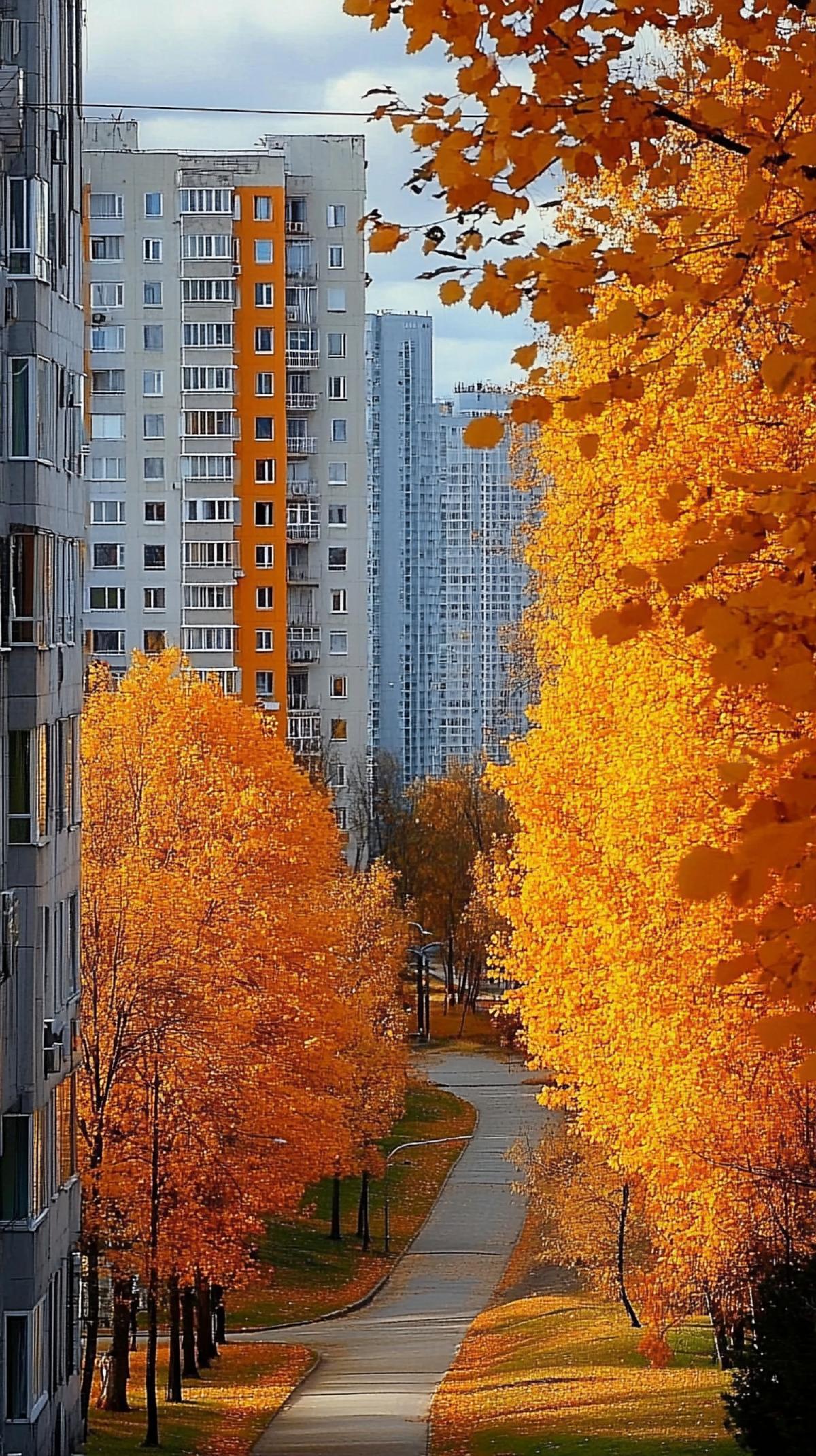 Autumn city sometimes, modern city buildings surrounded by alleys, where trees in autumn decoration, von sky are circular star trajectory