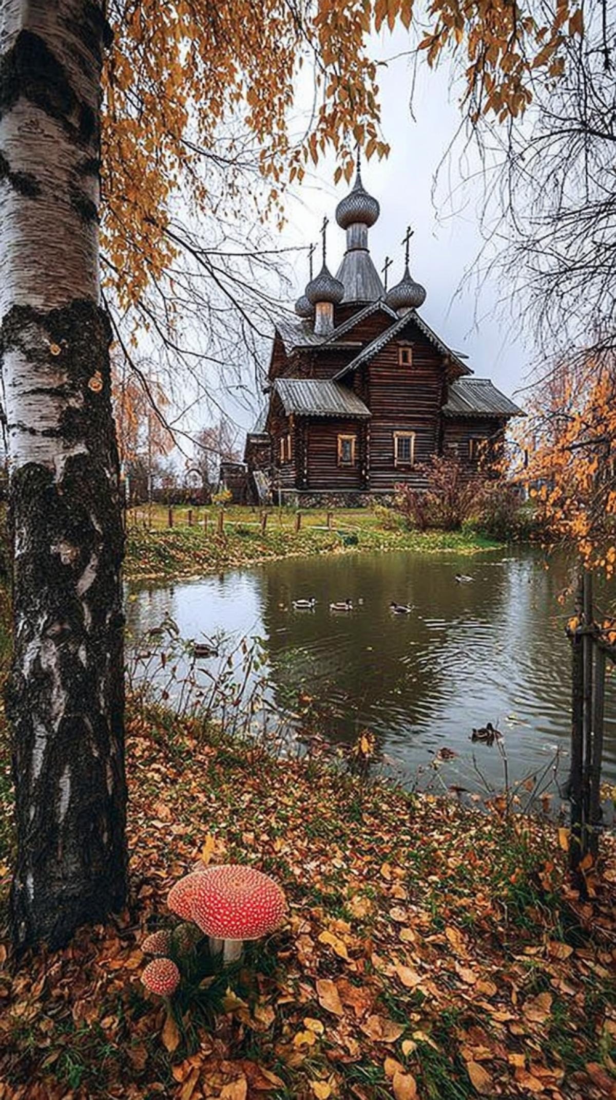 photo, wooden Church of the Annunciation, Sergiev Posad, Russia, autumn atmosphere, nostalgic mood, ducks in the pond, birch tree, fly agaric