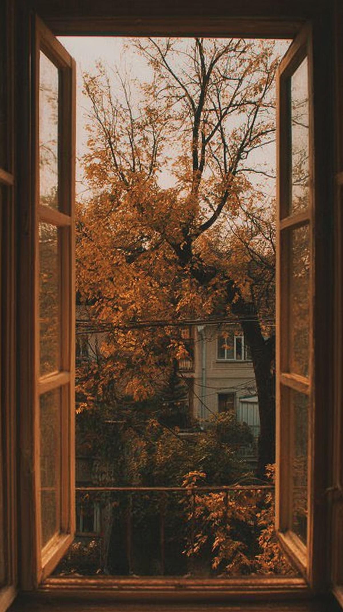 from an open window with a wooden frame, we see a cozy, atmospheric autumn view, a maple tree with yellow leaves, some branches already luxury, a house opposite, autumn colors, a Polaroid photo, graininess, and a nostalgic mood