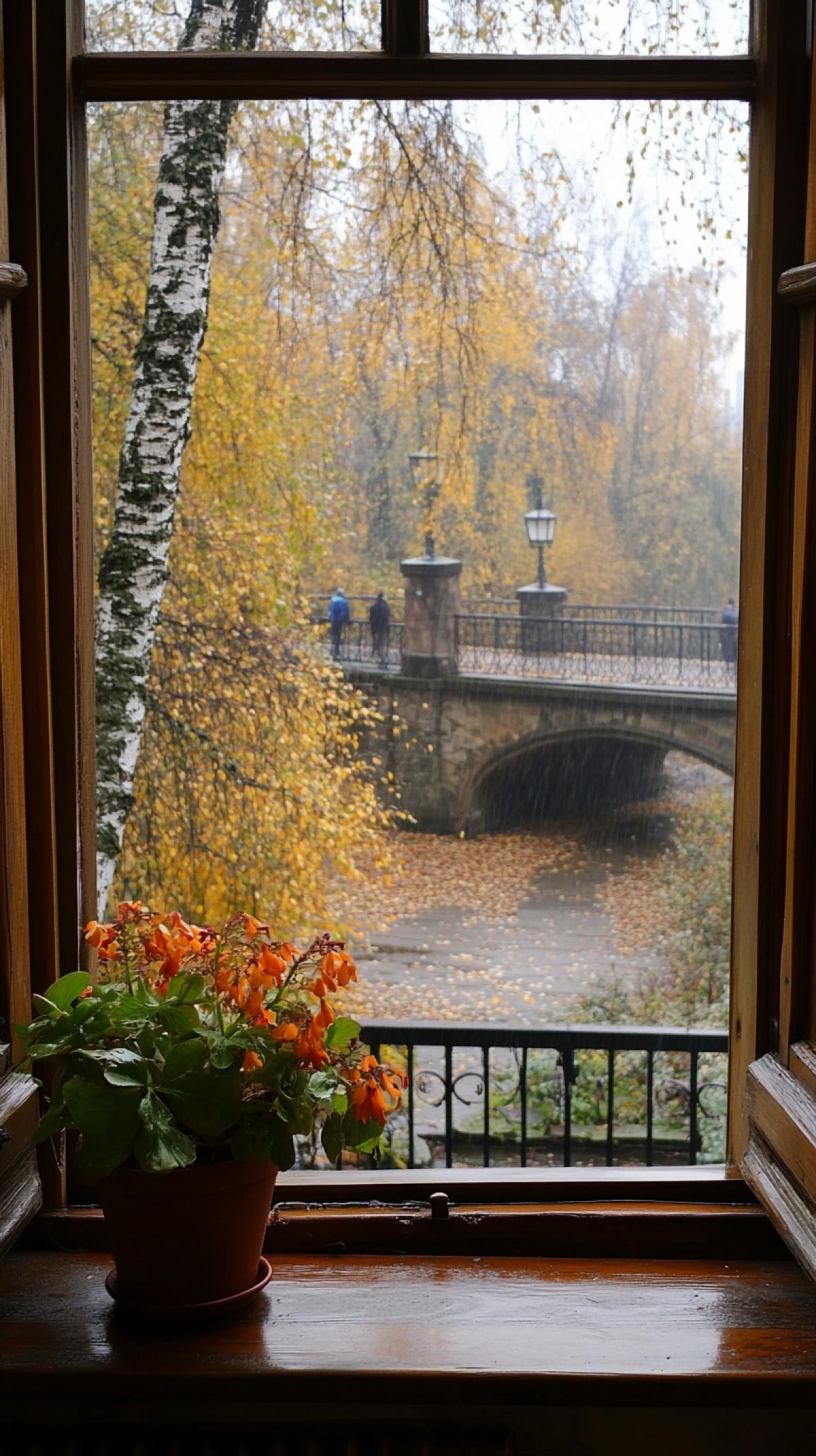 The open wooden-framed window reveals a cozy, atmospheric autumn view: a birch tree with yellow leaves and a rowan tree with clusters of orange-red berries, with some withered foliage. A pot of blooming orange-red nasturtiums sits on the windowsill. A stone bridge opposite, with its antique iron lanterns, a few figures of passersby in autumn raincoats holding umbrellas, subtle touches of raindrops, autumn colors, a grainy photograph, a nostalgic mood.