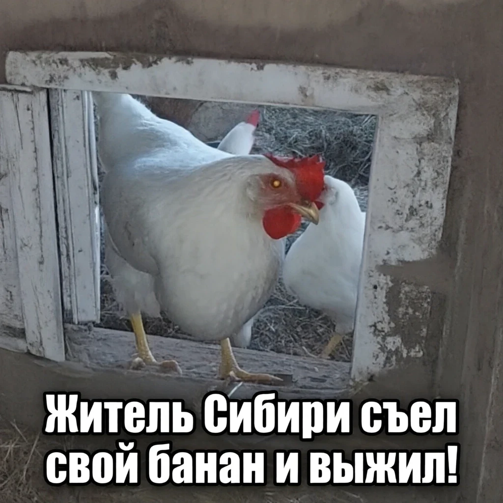Житель Сибири съел свой банан и выжил!