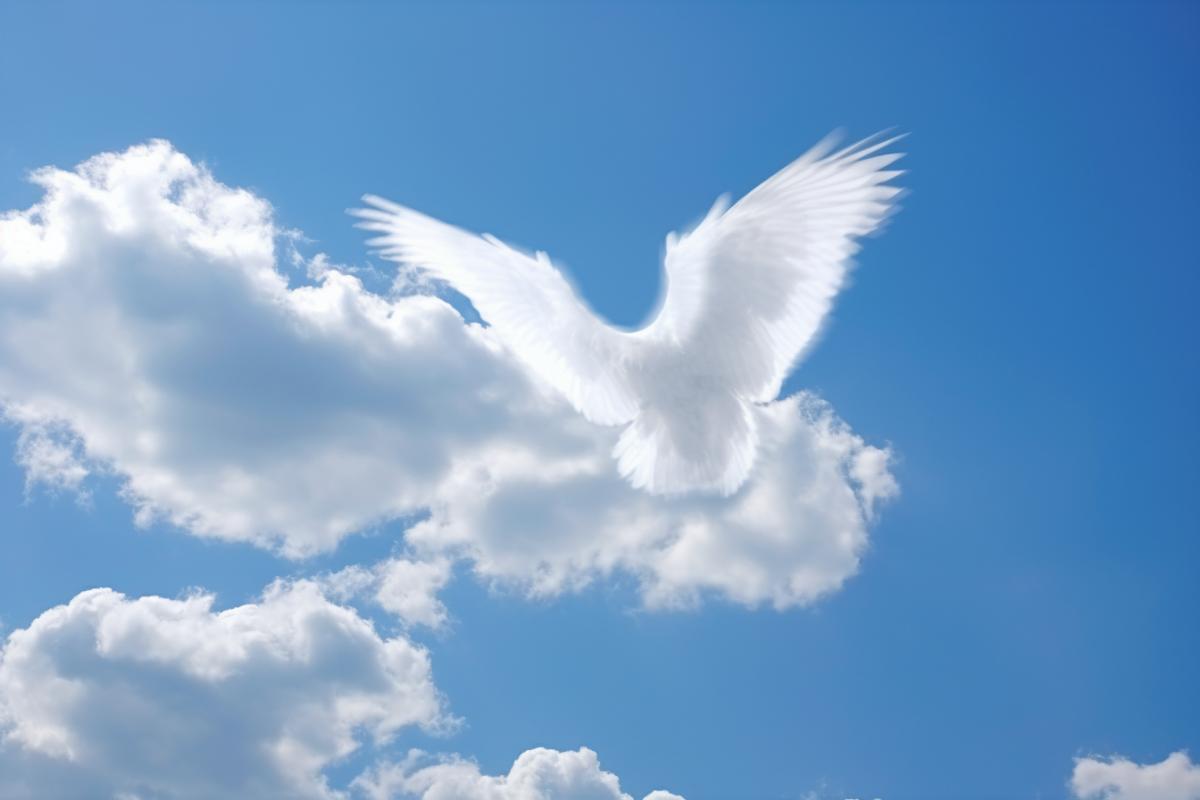Cloud in the shape of a dove